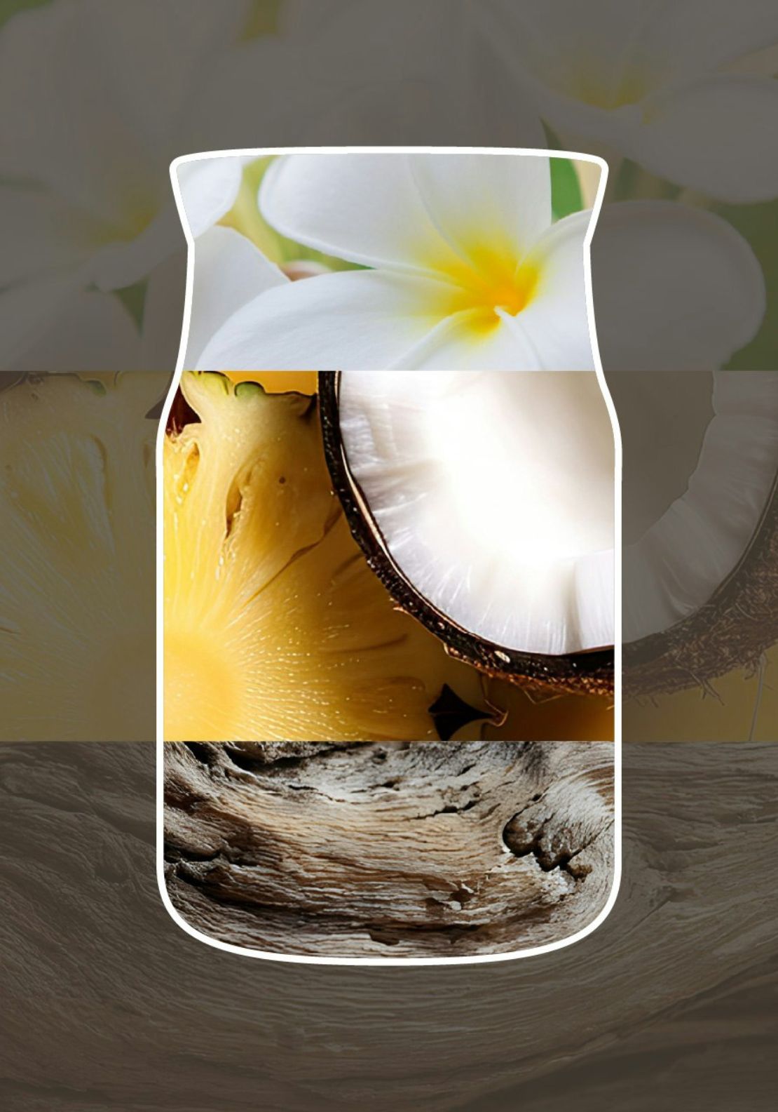 Signature Large Jar Black Coconut - Black