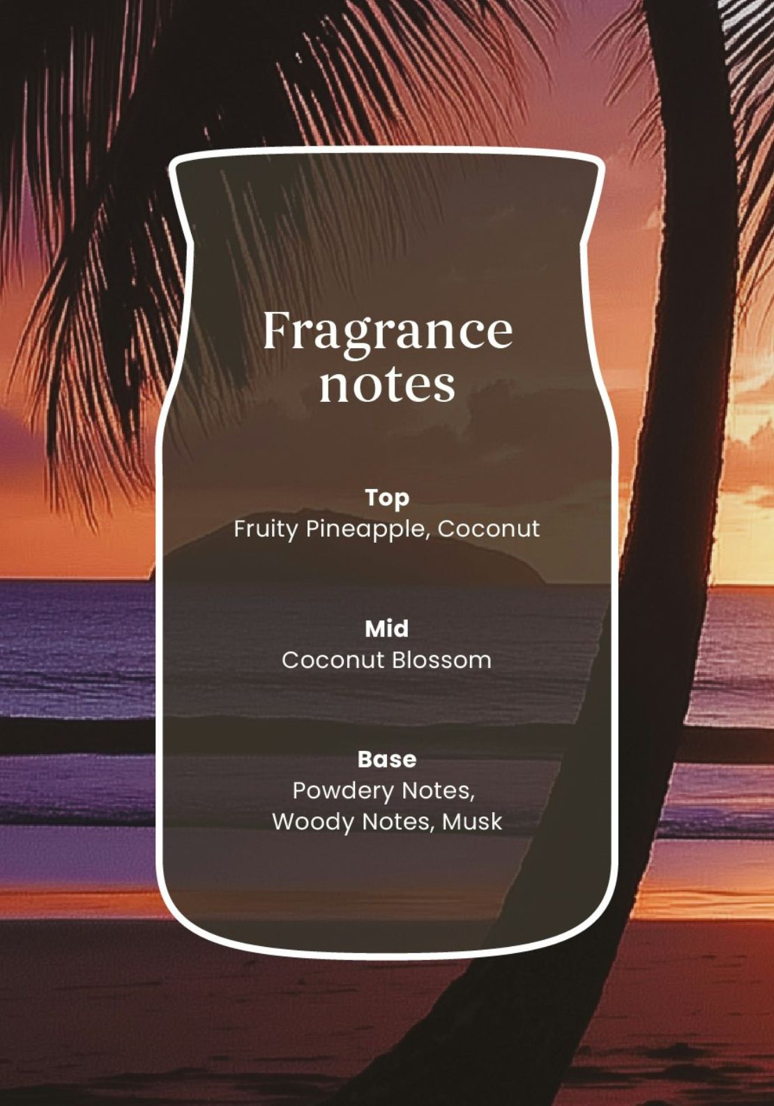Signature Large Jar Black Coconut - Black