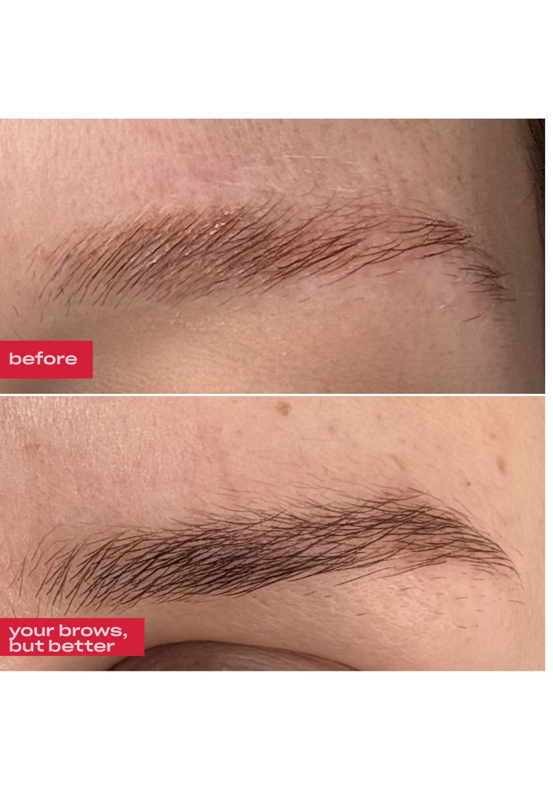Groa Brow Enhancing Serum - Multi 5 Shaws Department Stores