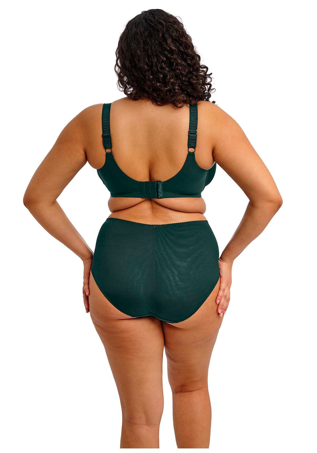 Elomi Cate Allure Full Brief - Deep Emerald 2 Shaws Department Stores