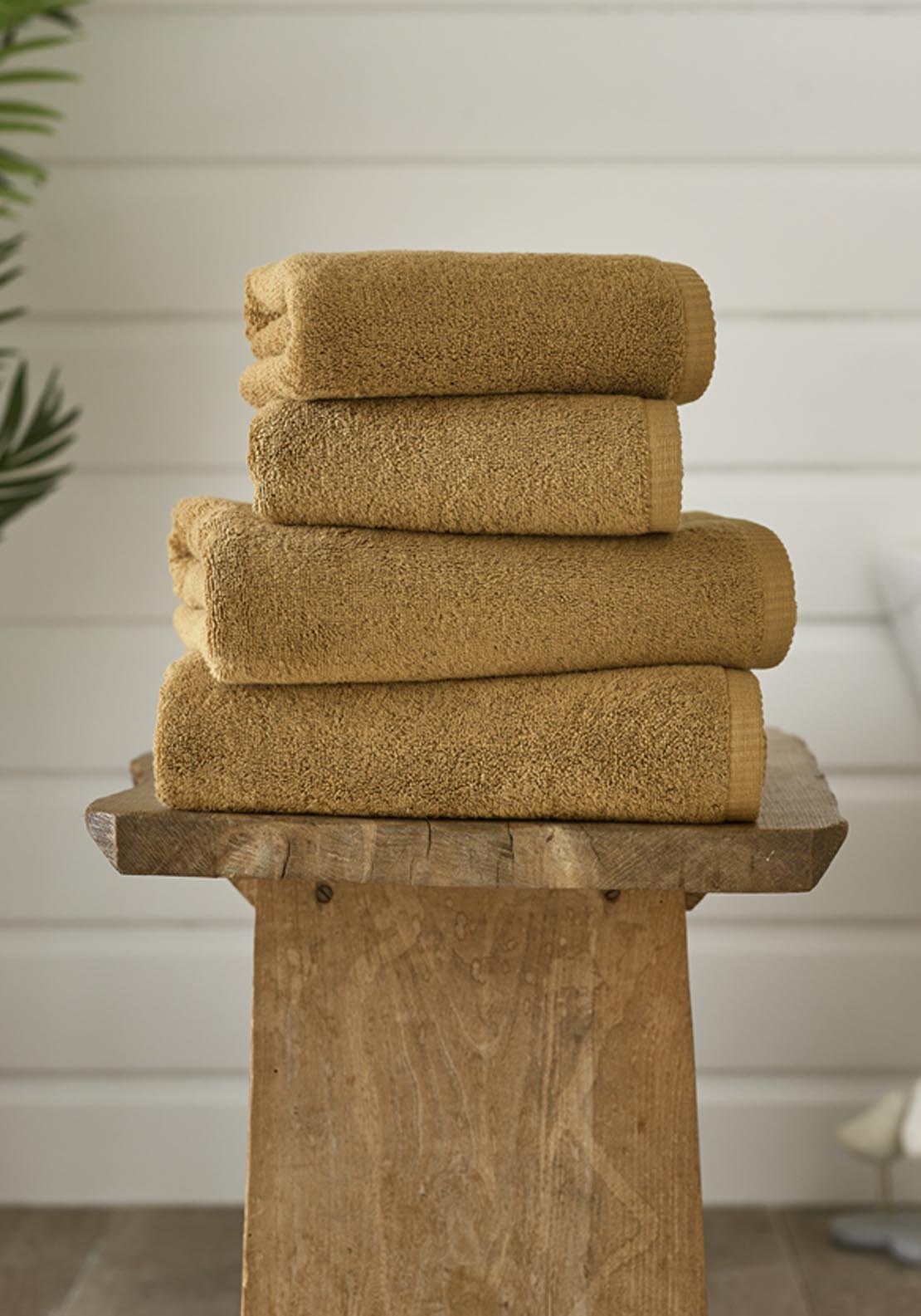 Sanremo Face Cloth Combed Cotton 700gsm - Beige 1 Shaws Department Stores