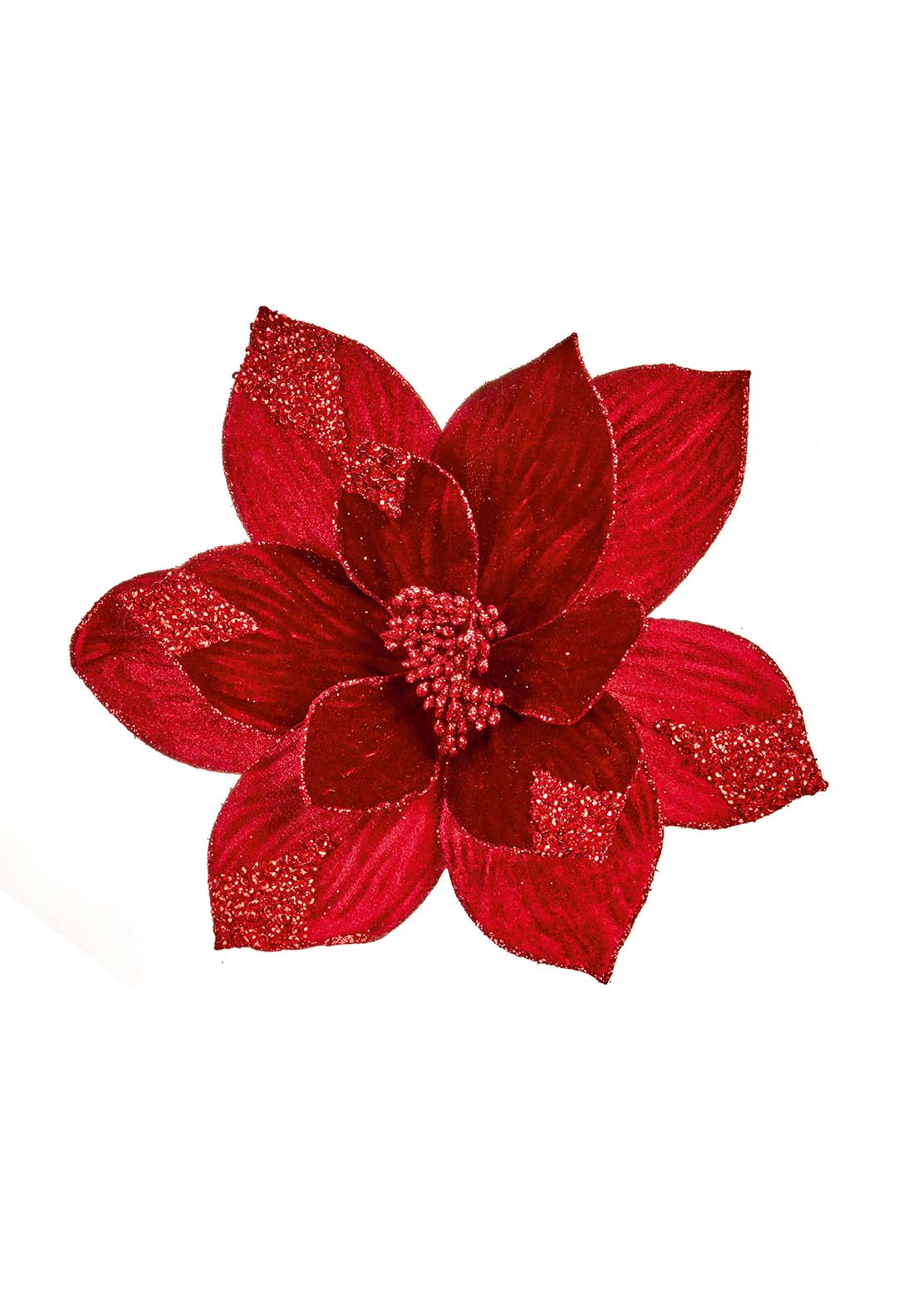 The Home Christmas Burgundy Poinsettia Decorative On Clip 1 Shaws Department Stores