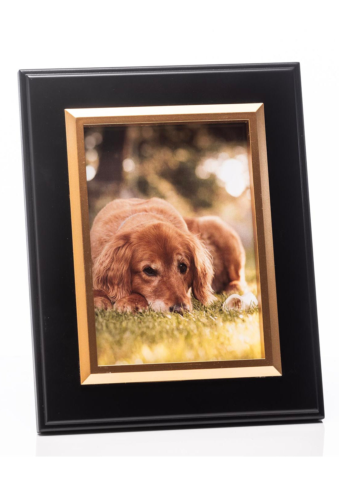 The Grange Collection Black with Gold Inner Photo Frame - Black 1 Shaws Department Stores