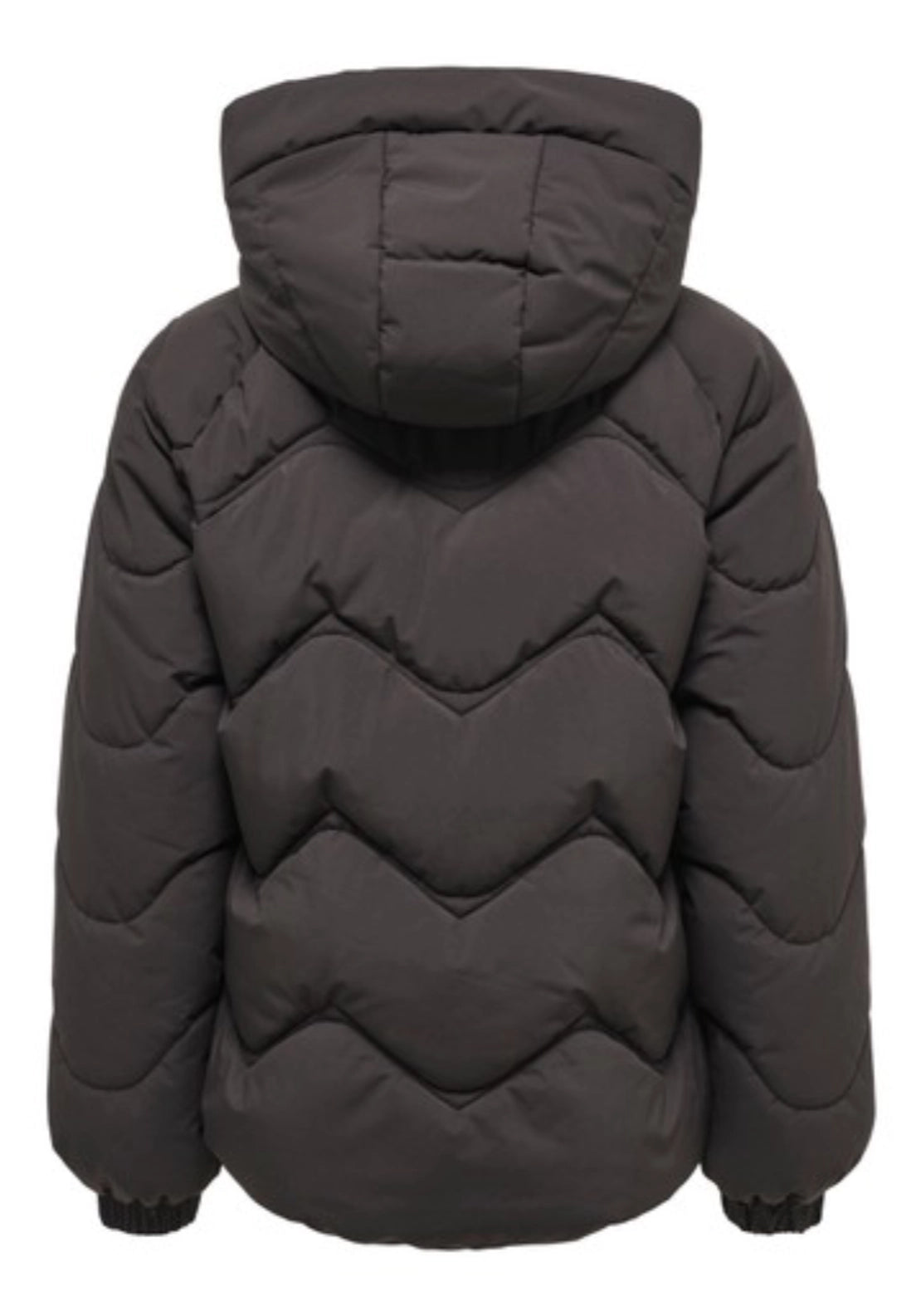 Power Short Hood Puffer Coat - Brown