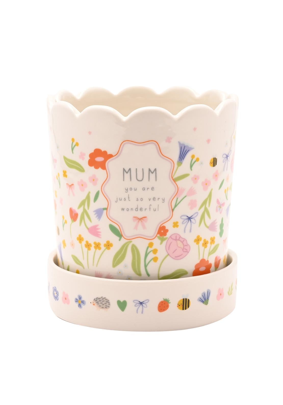 Plant Pot &