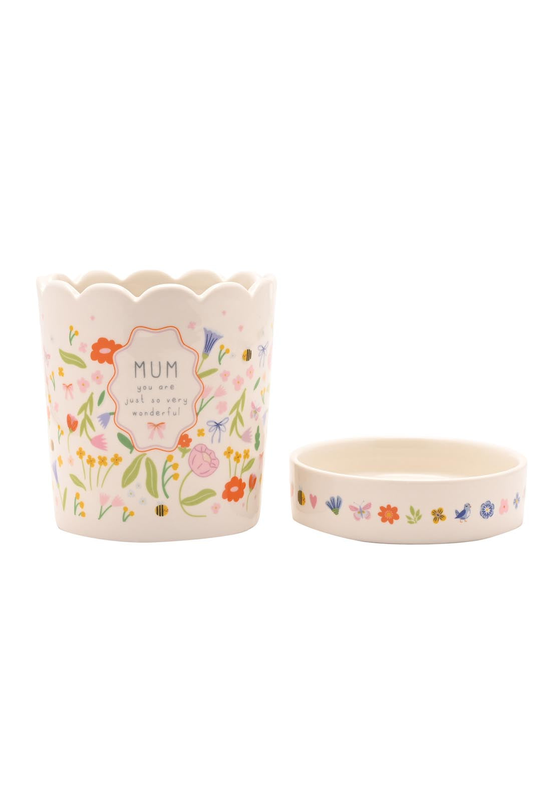 Plant Pot &