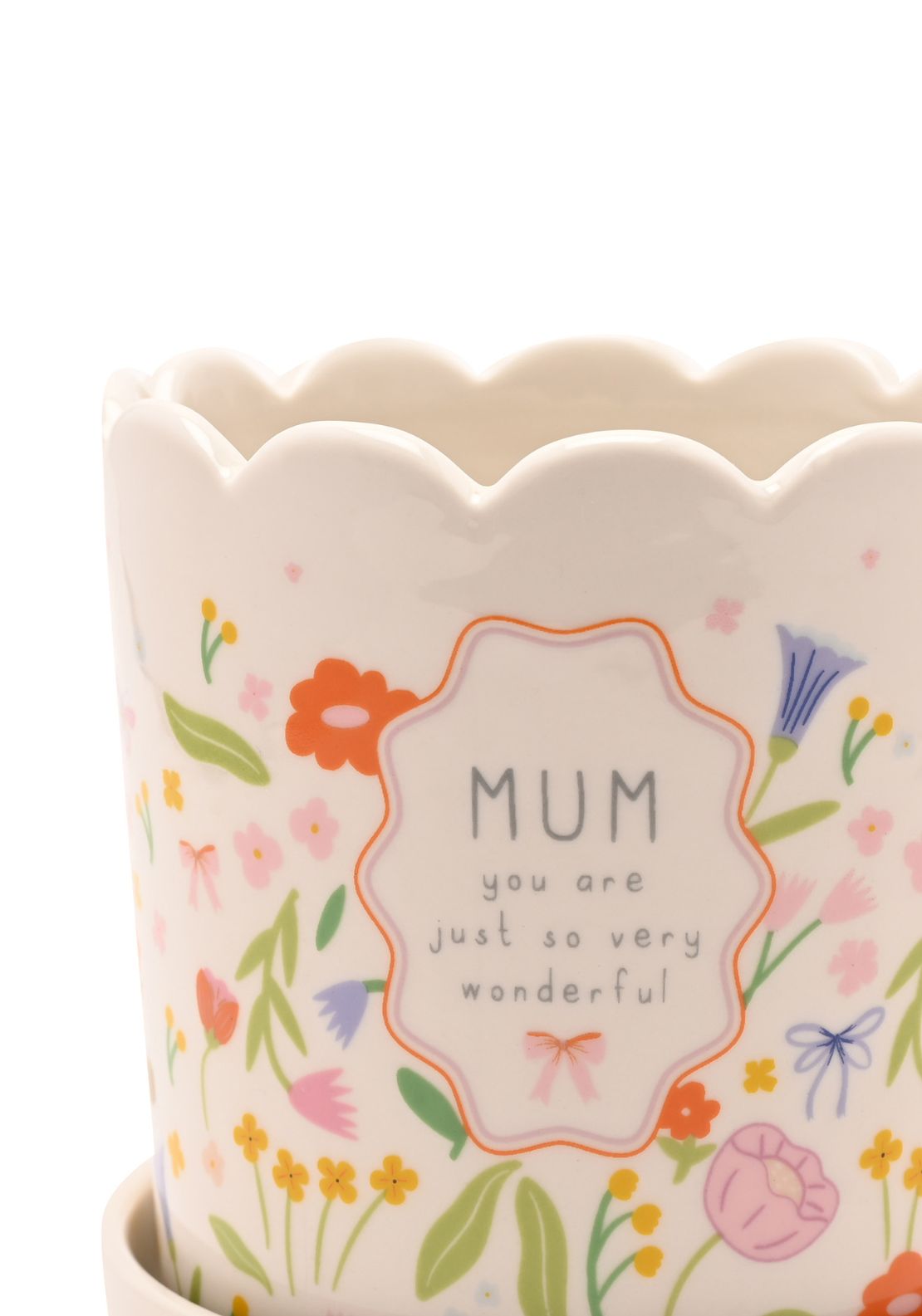 Plant Pot &