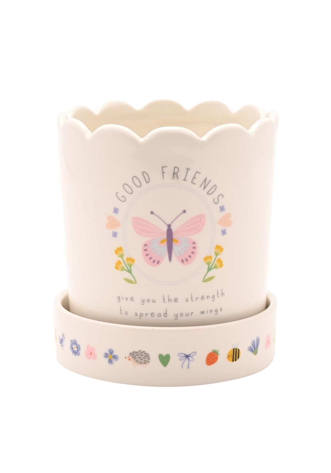 Plant Pot &