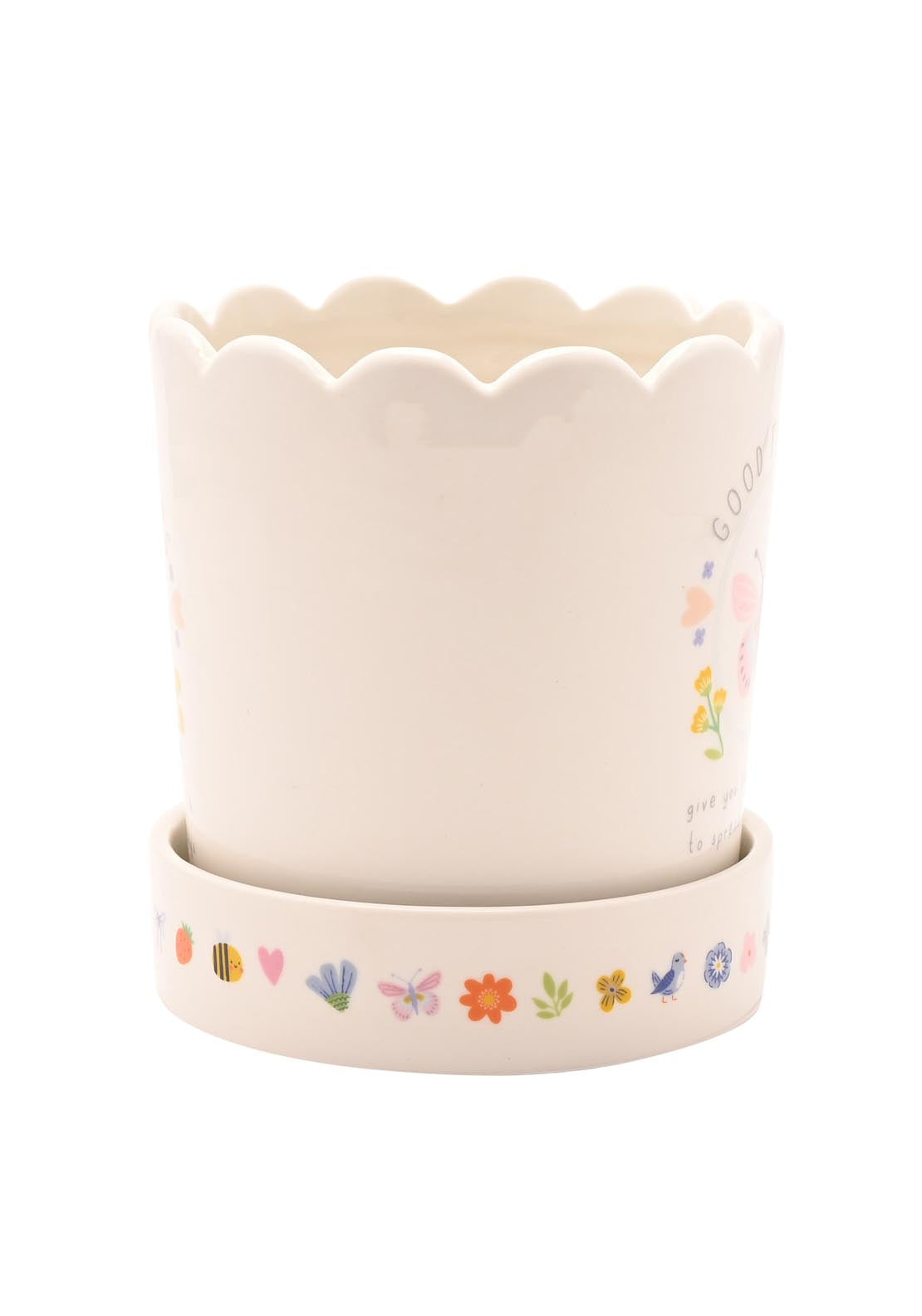 Plant Pot &