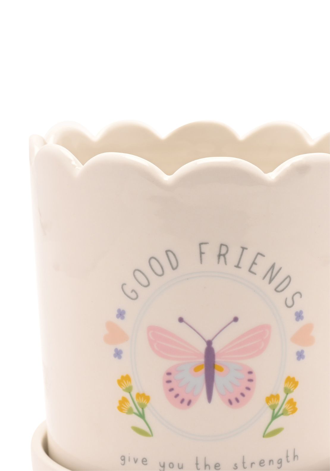 Plant Pot &