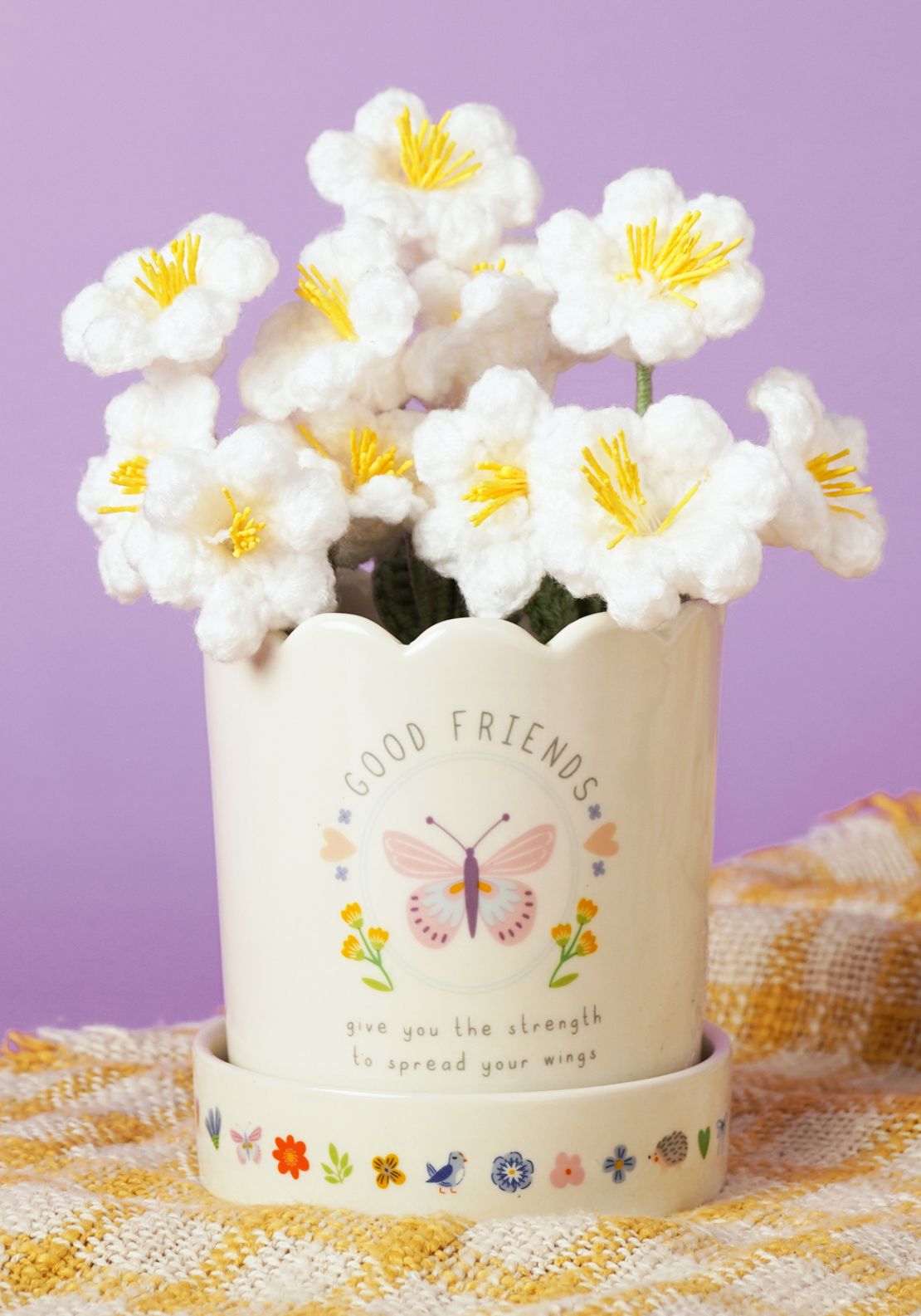 Plant Pot &