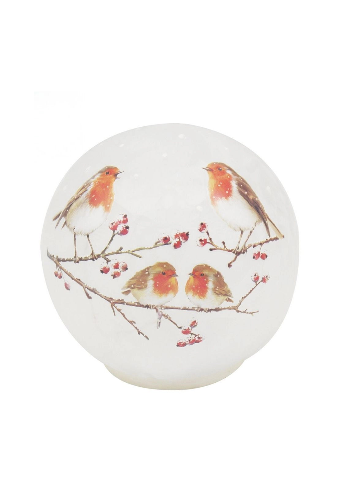 LED Christmas Robins Frostball - Multi
