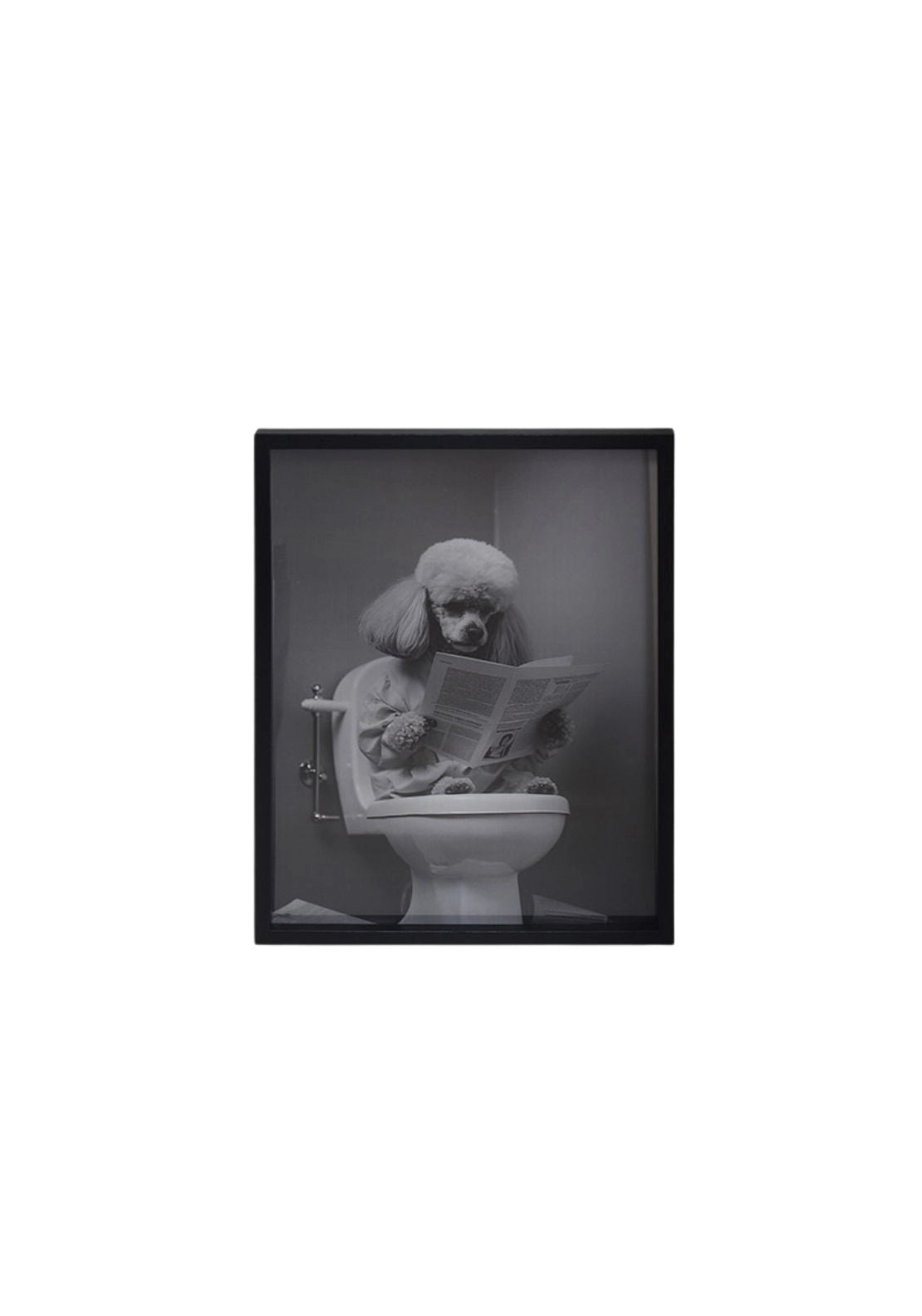 Poodle Wall Art - Multi