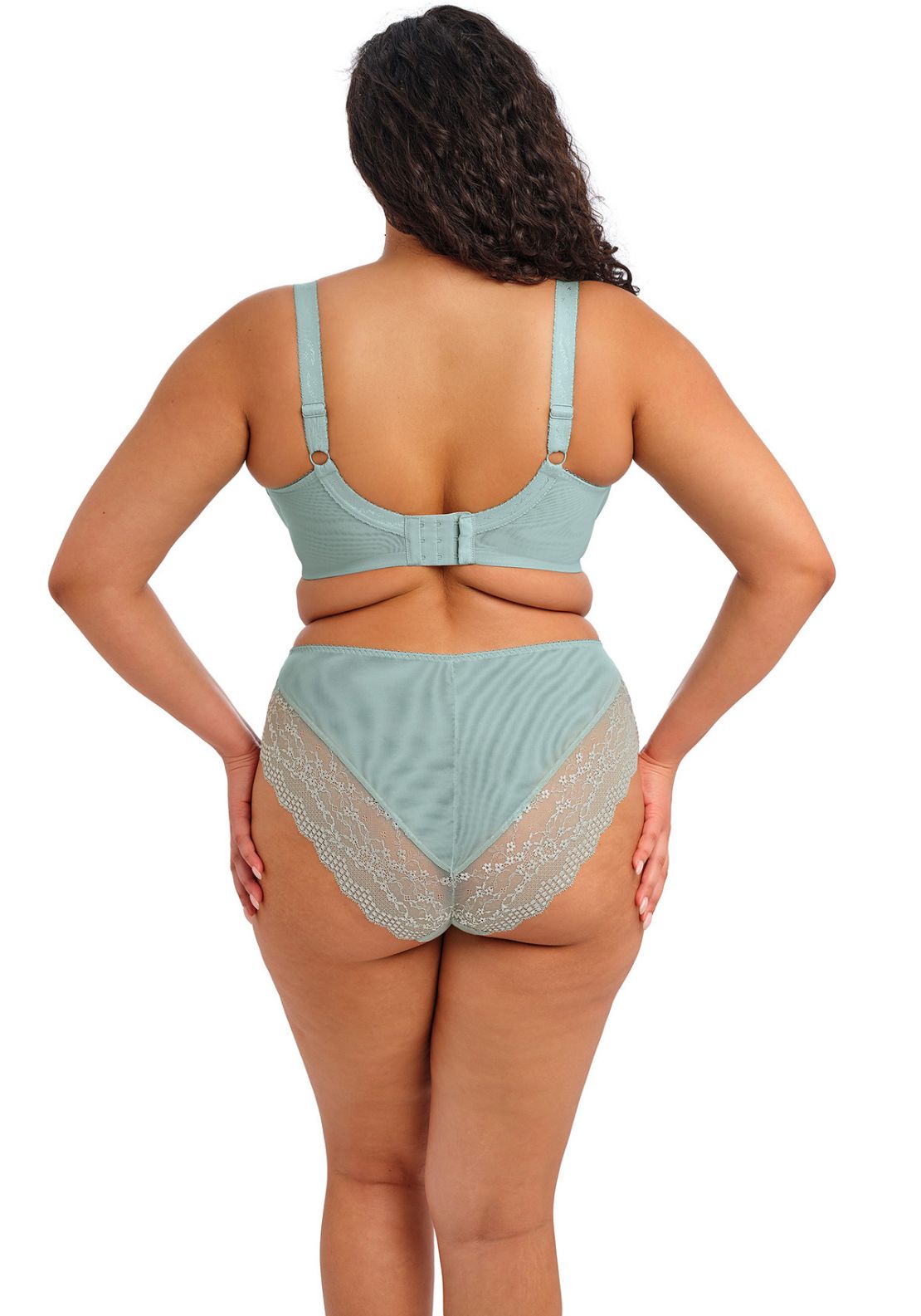 Elomi Lucie High Leg Brief - Mist 4 Shaws Department Stores