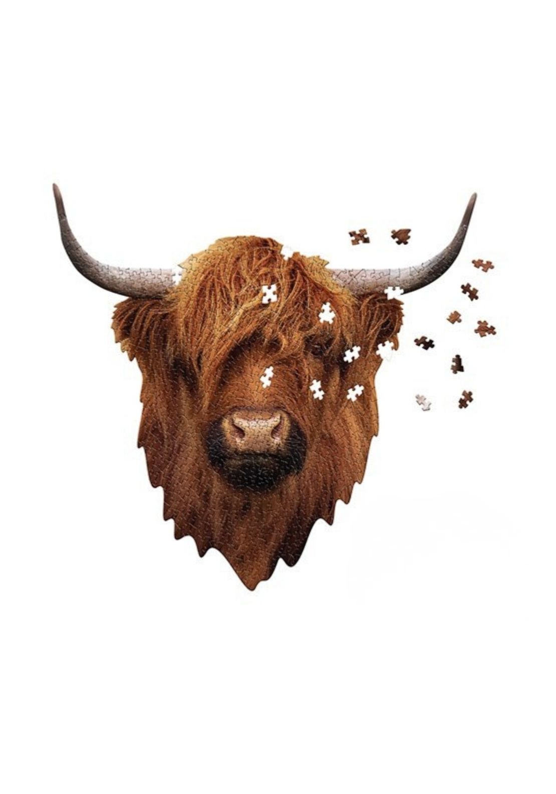 The Home Collection Highland Cow 550 Piece Jigsaw 1 Shaws Department Stores