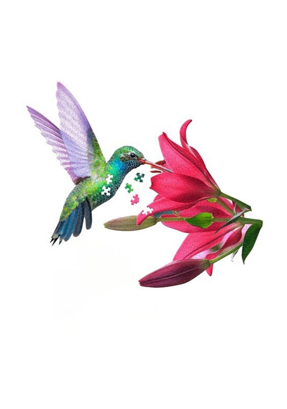 The Home Collection Hummingbird Bird Shaped 300 Piece Jigsaw 1 Shaws Department Stores