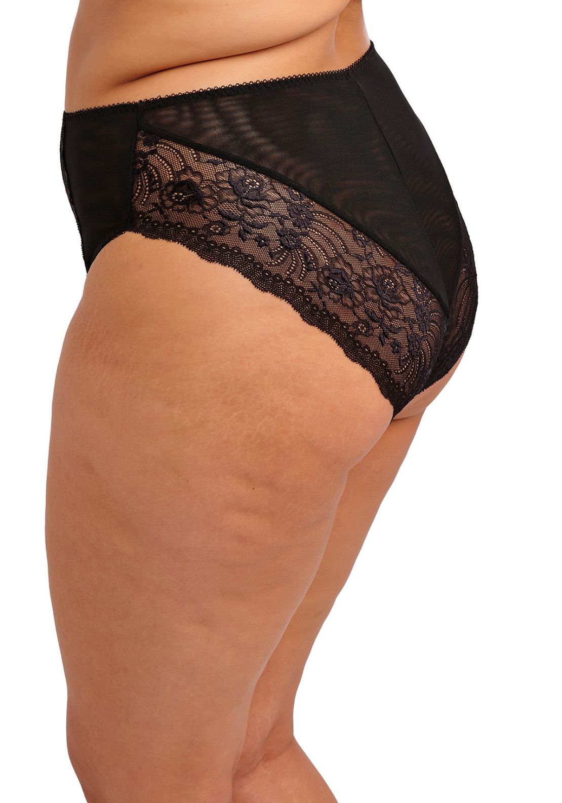 Elomi Morgan High Leg Brief - Hot House 2 Shaws Department Stores