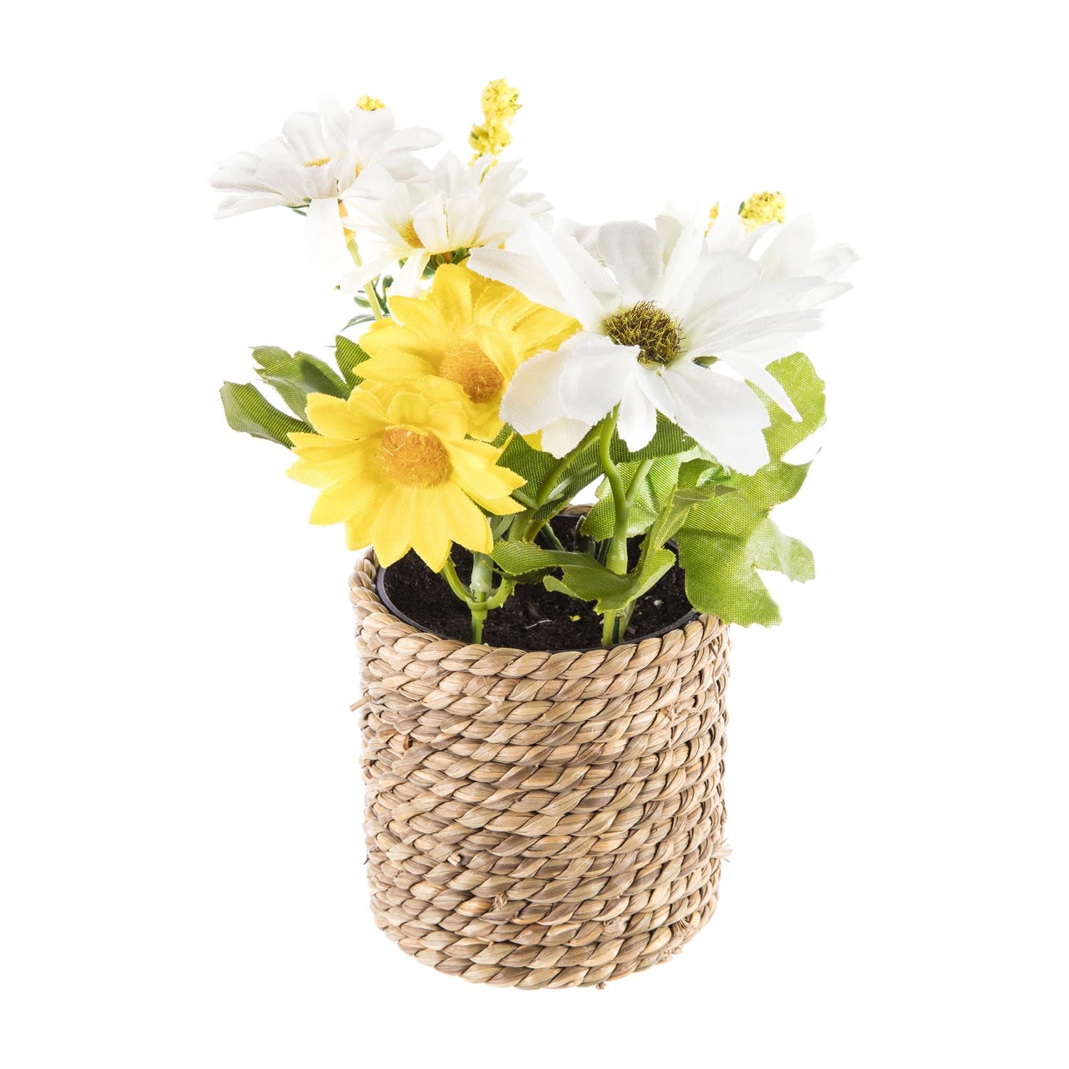 The Home Collection 12 Piece Flower 15cm Yellow-White 1 Shaws Department Stores