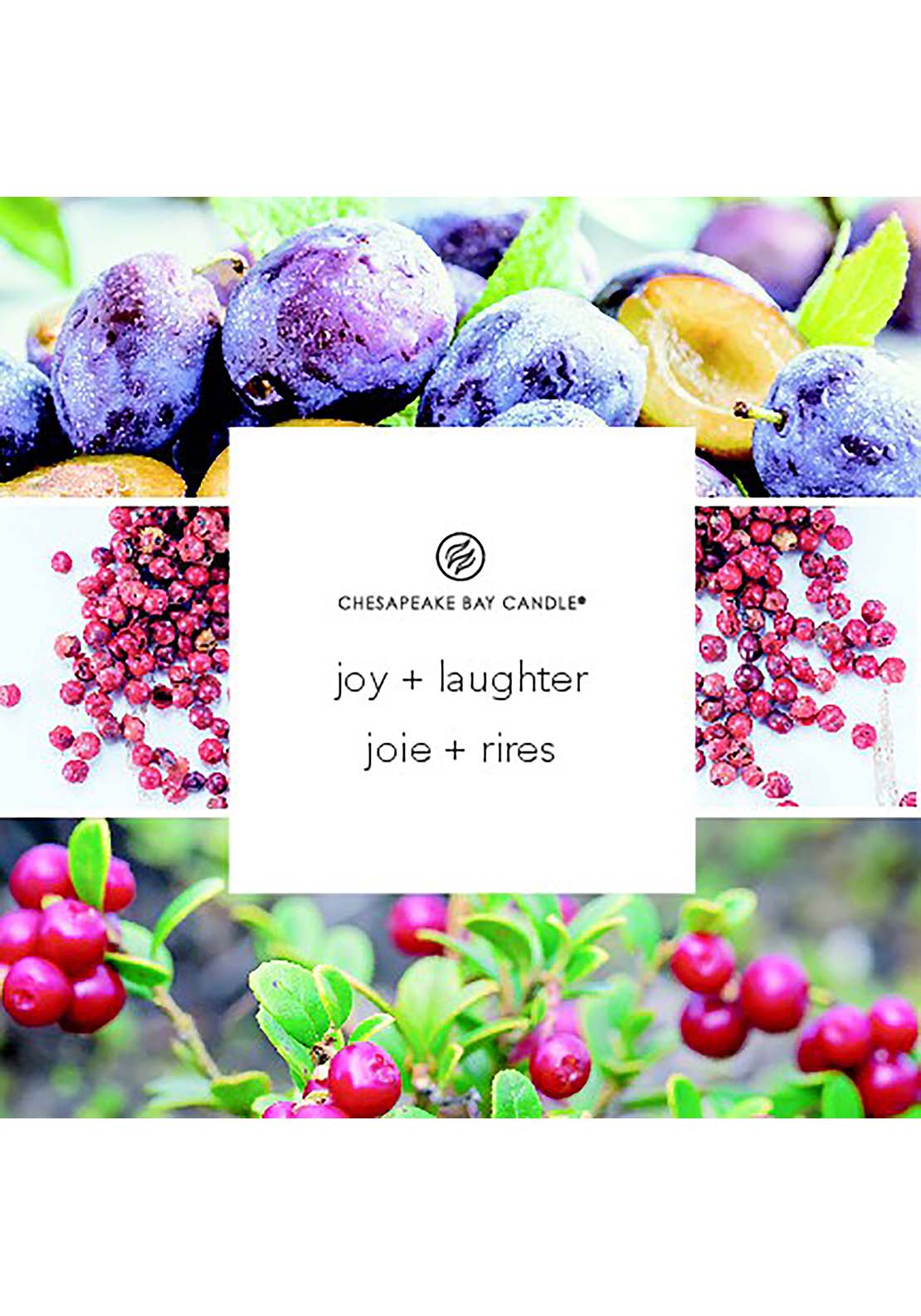 Chesapeake Bay Chesapeake Bay 3 Wick Joy &amp; Laughter 3 Shaws Department Stores