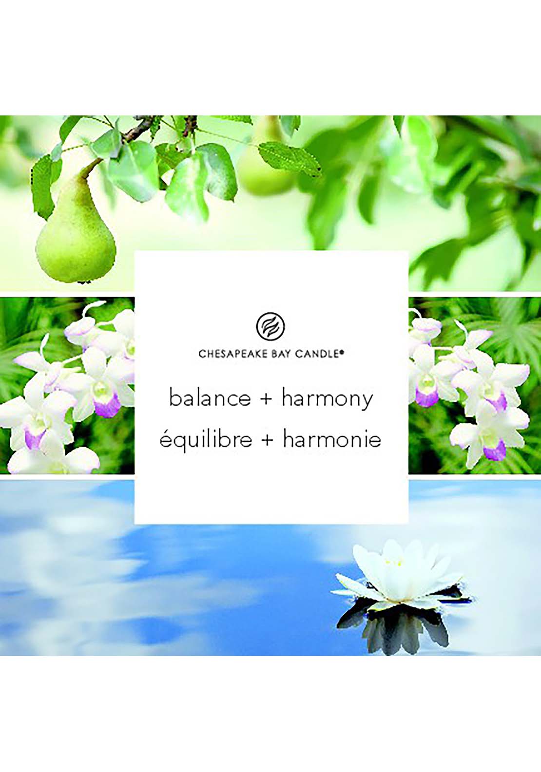Chesapeake Bay Chesapeake Bay 3 Wick Balance &amp; Harmony 4 Shaws Department Stores