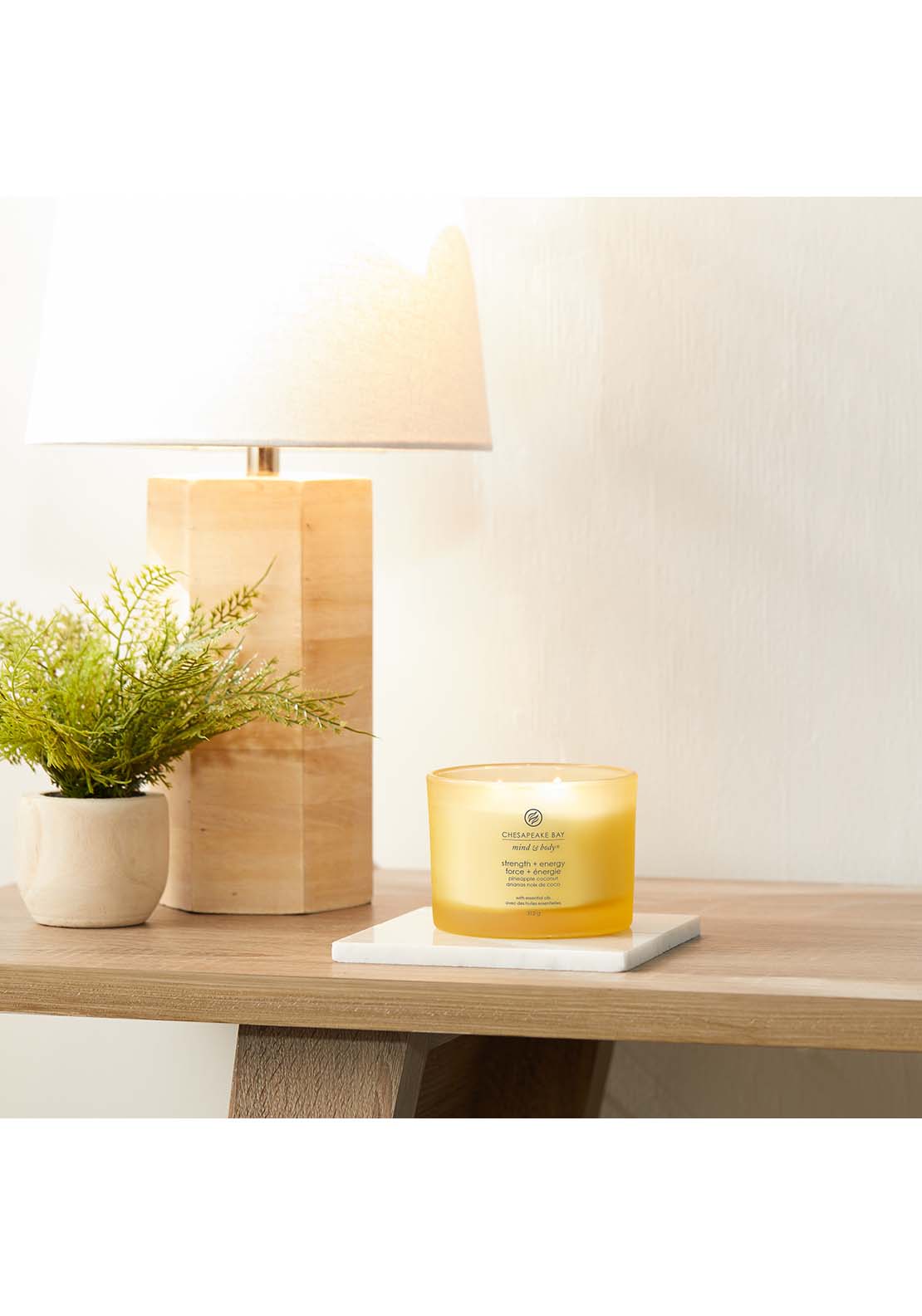 Chesapeake Bay Chesapeake Bay 3 Wick Strength &amp; Energy 2 Shaws Department Stores