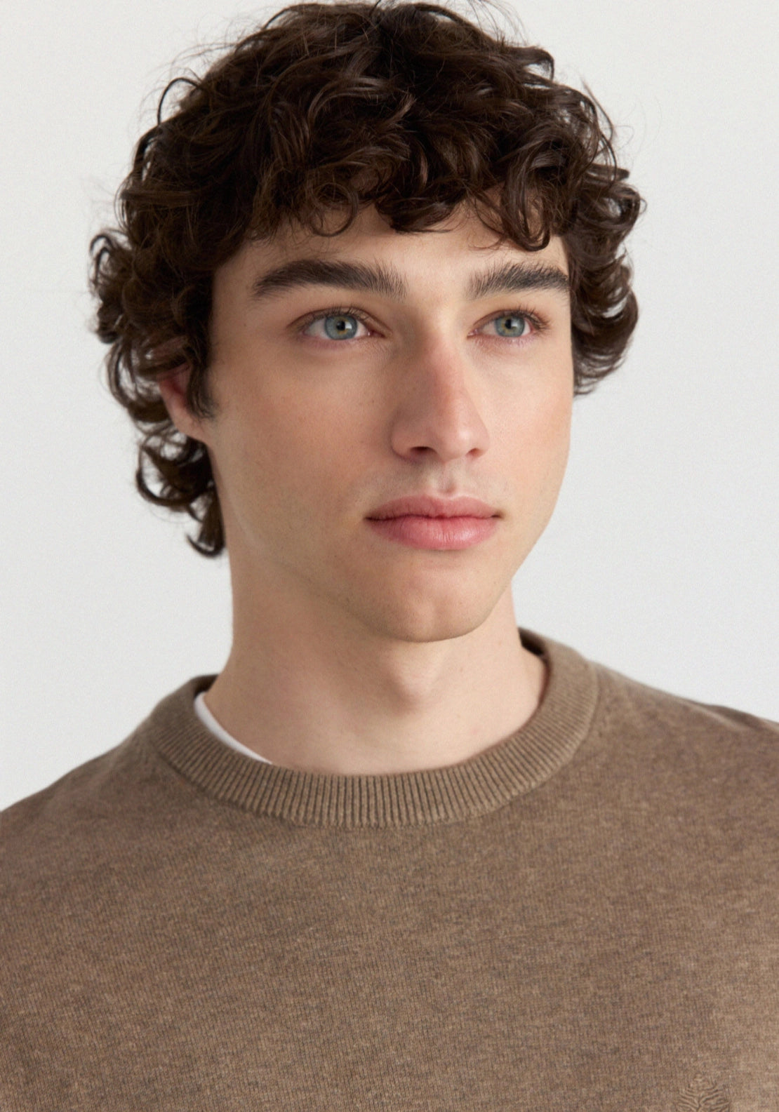 Classic Crew Neck Basic Knit - Brown