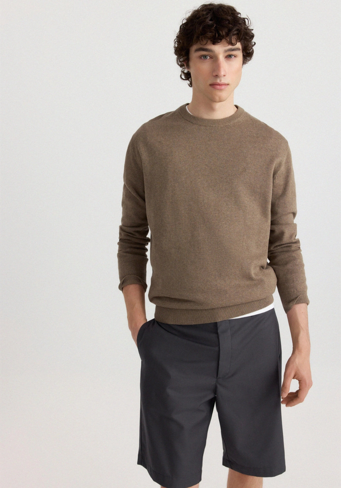 Classic Crew Neck Basic Knit - Brown
