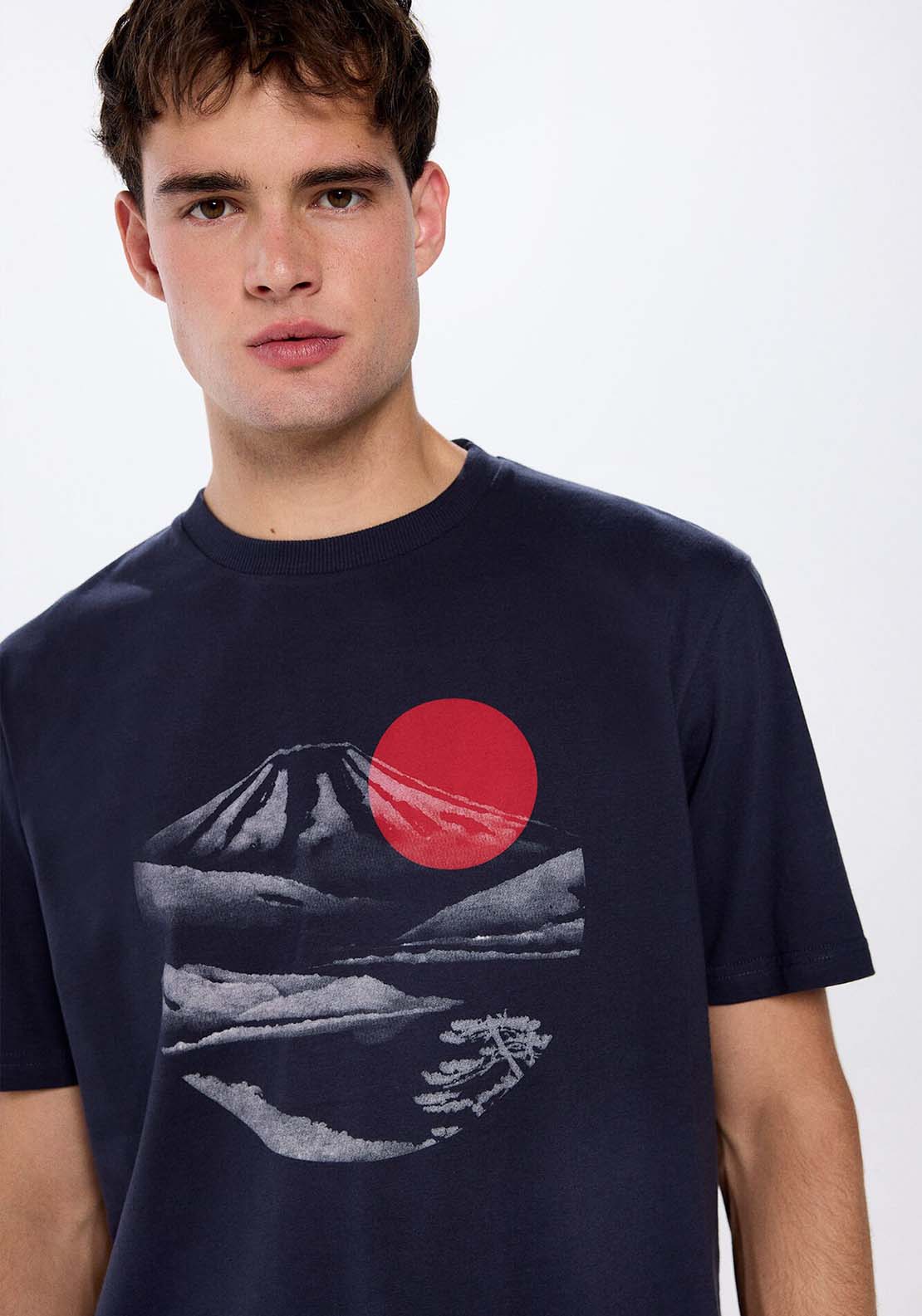 Springfield Mount Fuji T-shirt - Blue 3 Shaws Department Stores