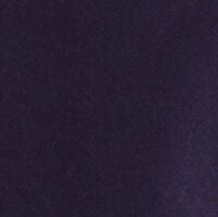 Springfield Shorts - Blue 7 Shaws Department Stores
