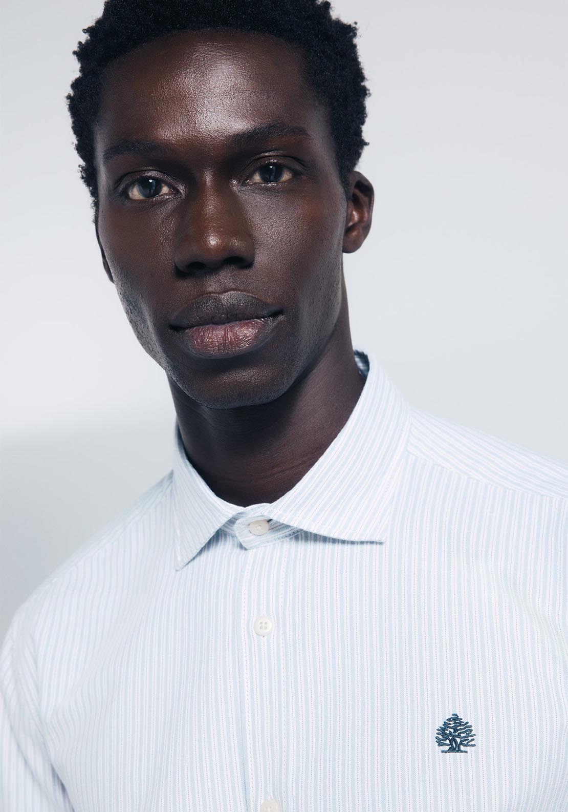 Striped Oxford Shirt - Blue
