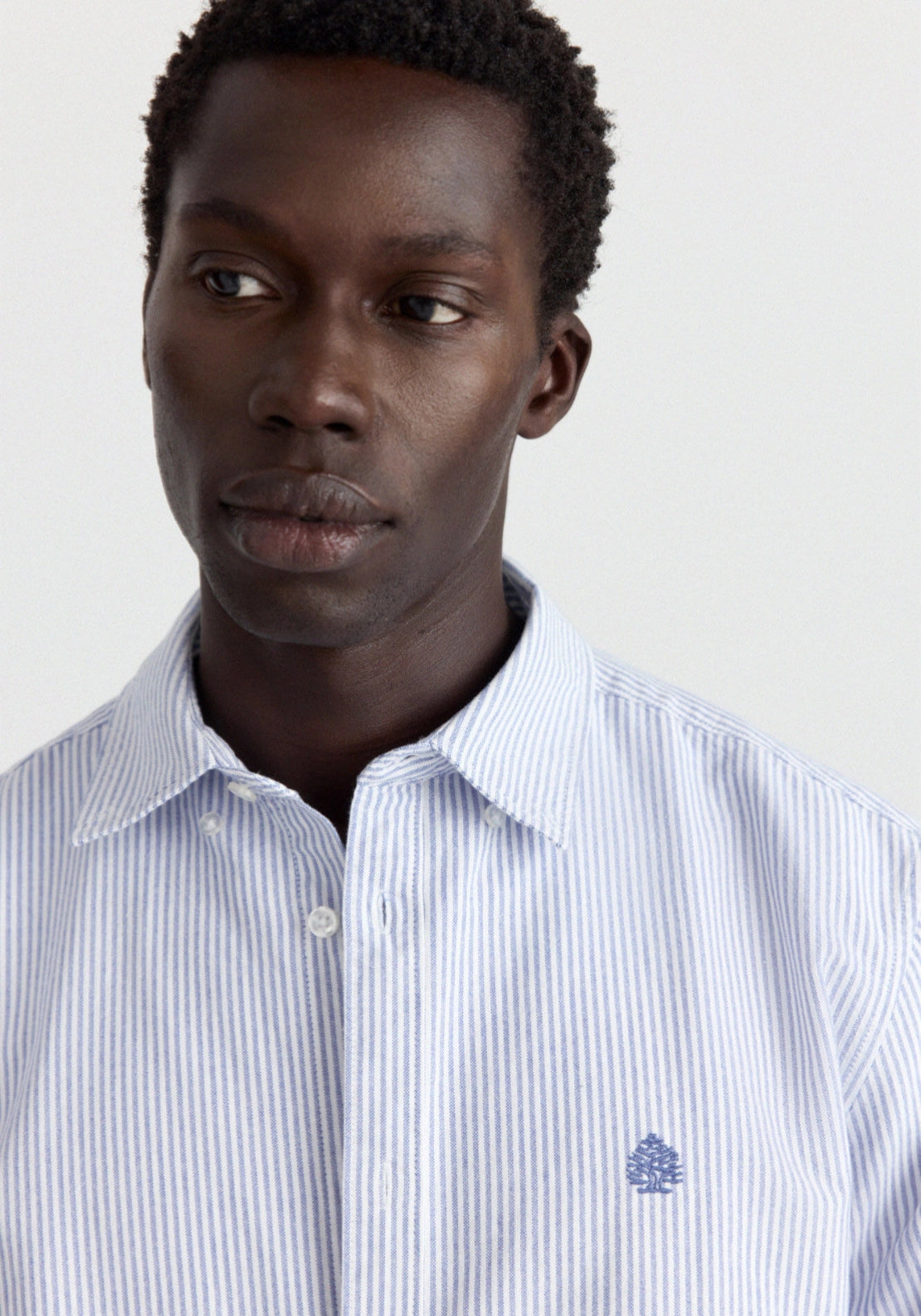 Long Sleeve Stripe Oxford Tailored Shirt - Blue