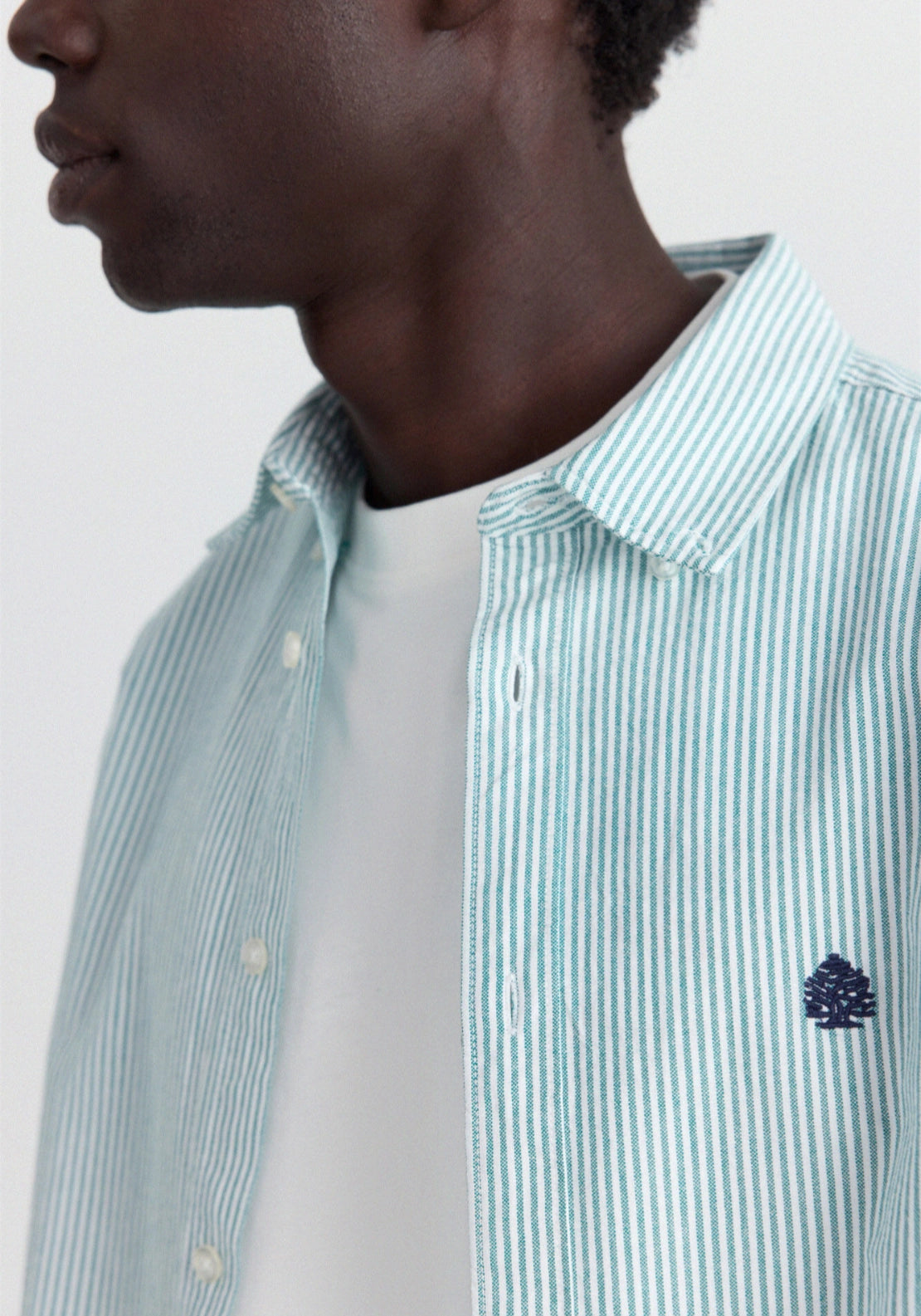 Long Sleeve Stripe Oxford Tailored Shirt - Green