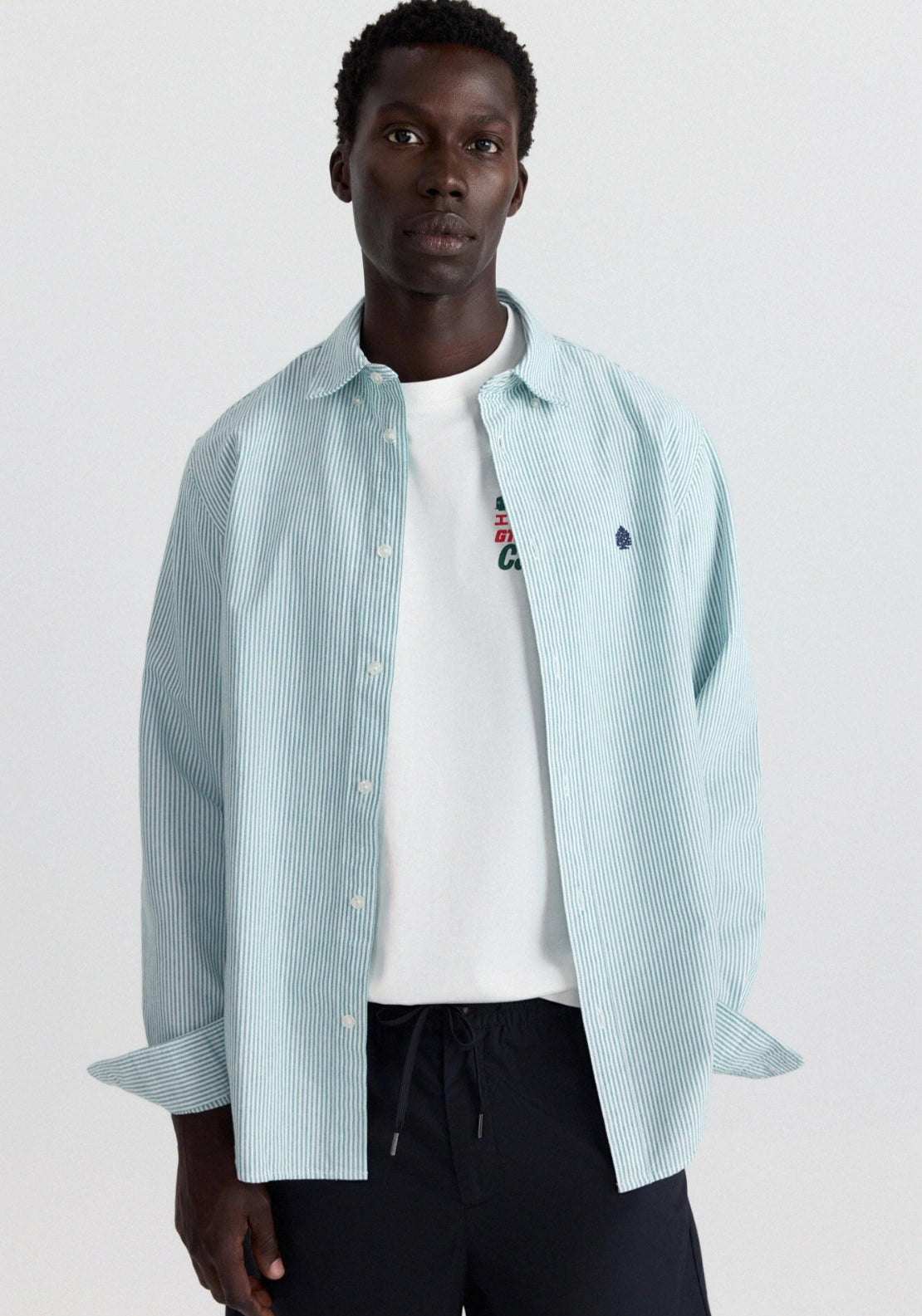 Long Sleeve Stripe Oxford Tailored Shirt - Green