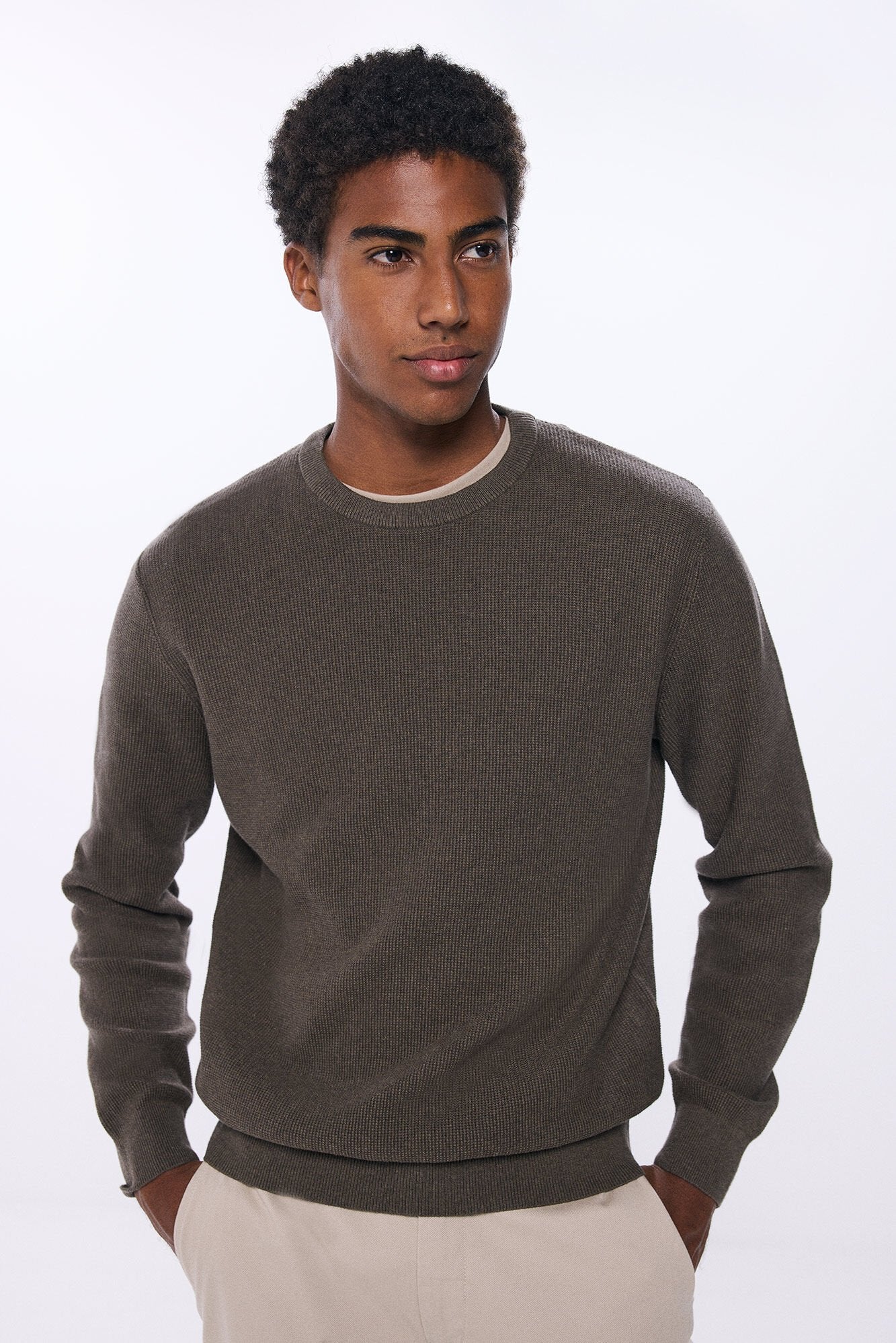Springfield Textured Jumper - Tan 1 Shaws Department Stores