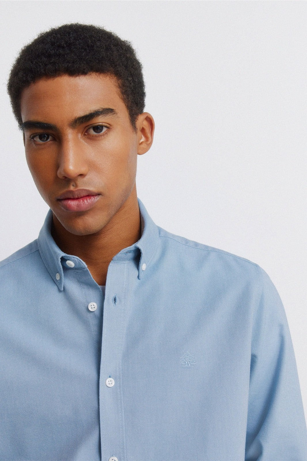 Oxford Wrinkle-Free Shirt - Blue