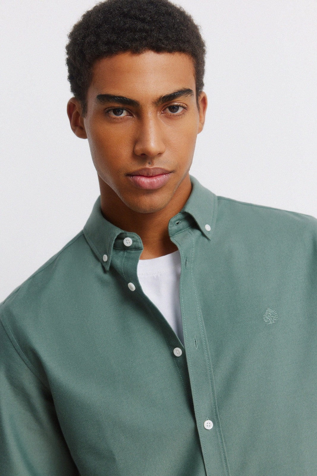 Oxford Wrinkle-Free Shirt - Green