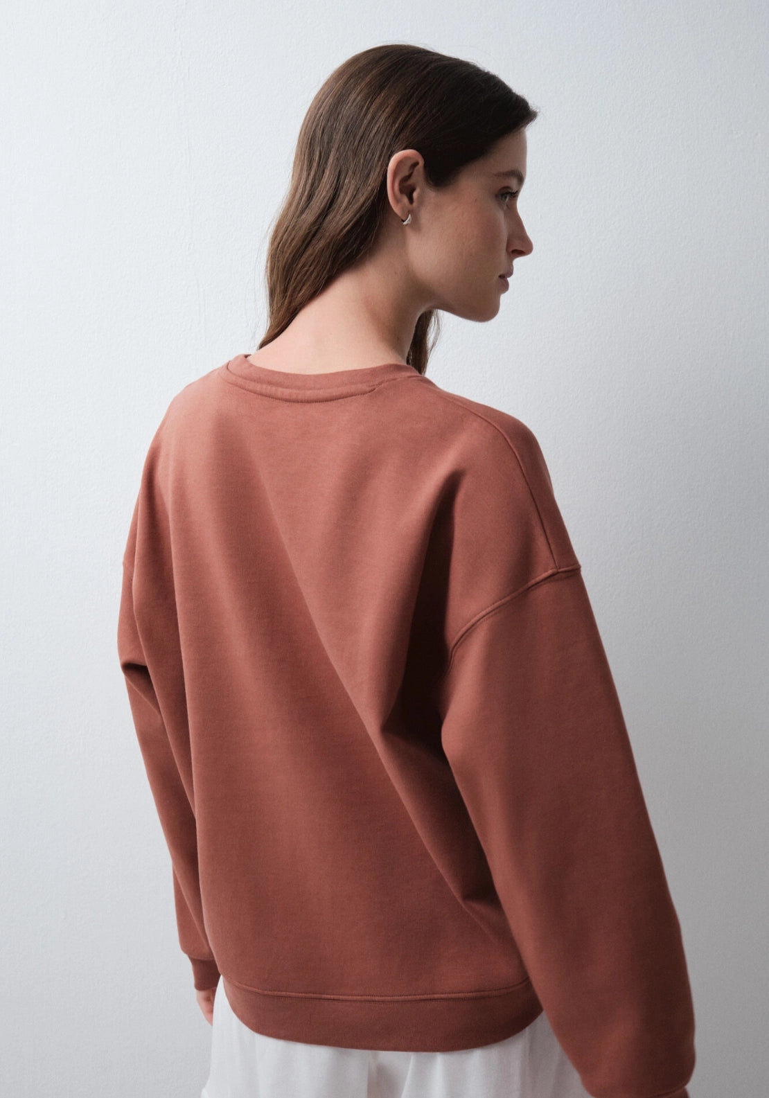 Brown Cotton Horse Sweatshirt - Brown
