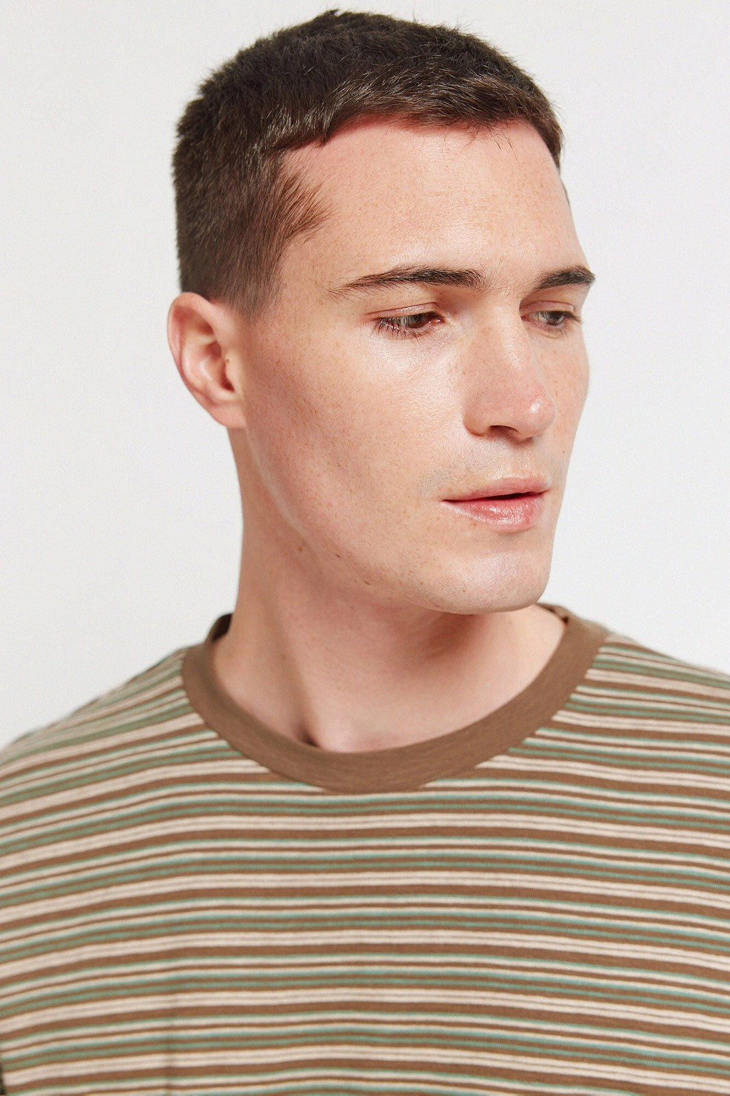 Short Sleeve Stripe T-Shirt - Brown