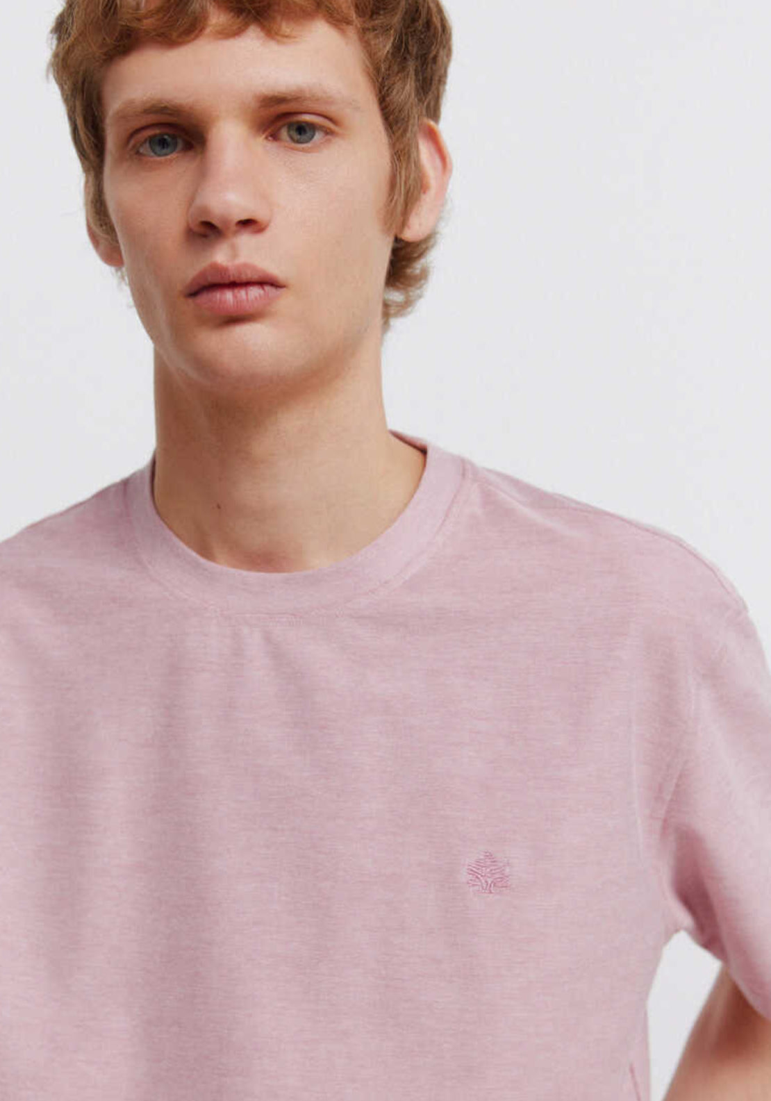 Springfield Oxford T-Shirt - Pink 4 Shaws Department Stores