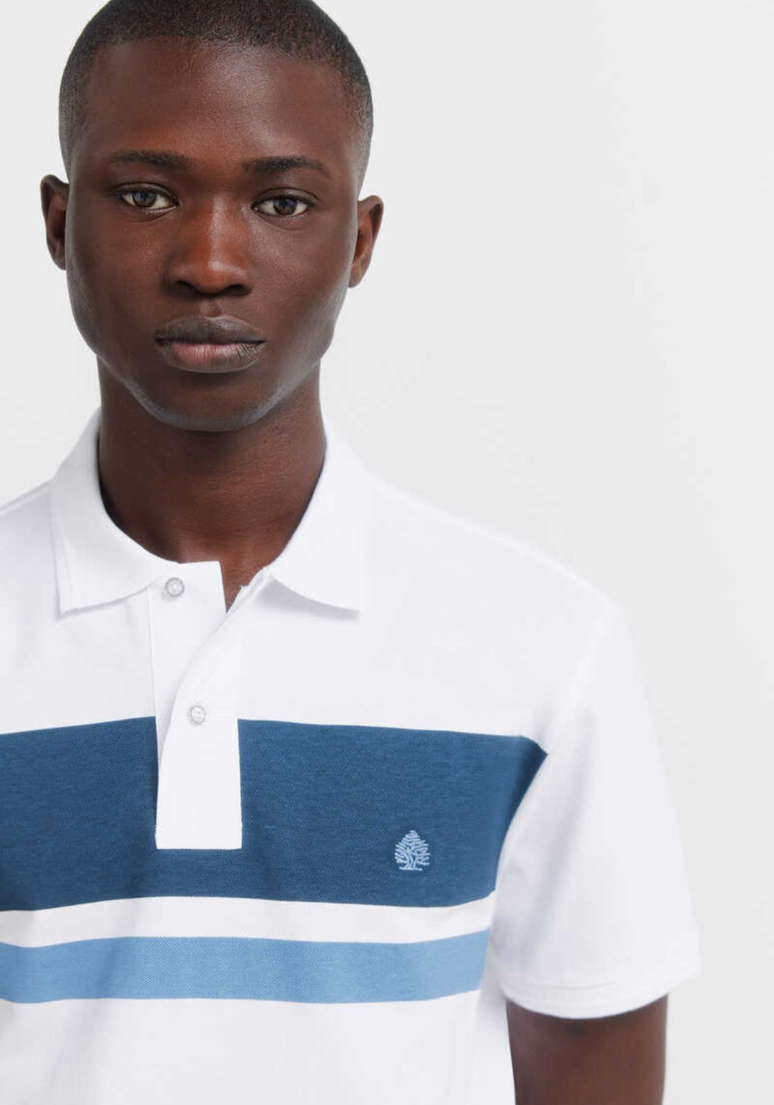 100% Cotton Pique Striped Regular Fit Polo - Blue