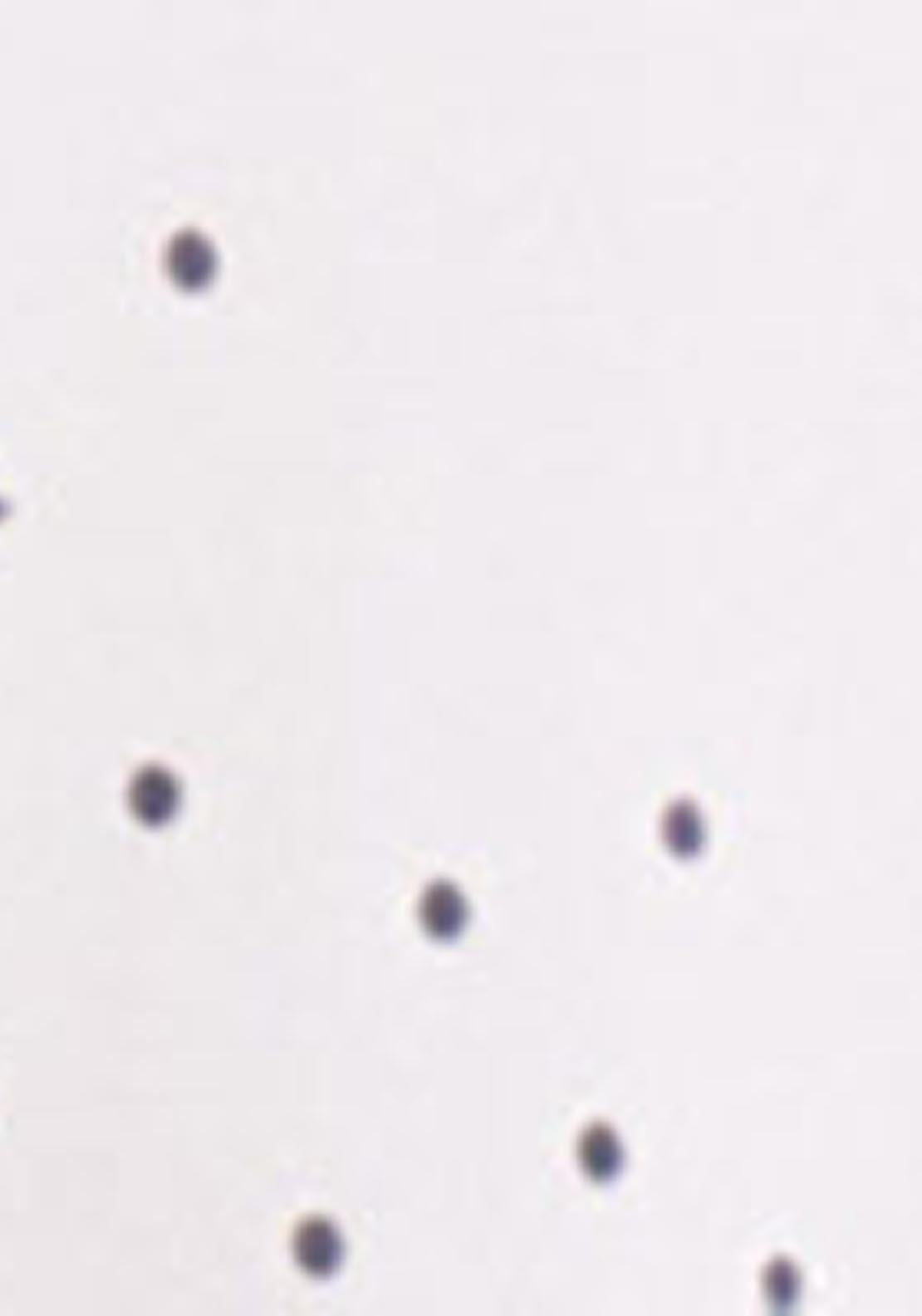 Bird Print Midi Nightgown - White