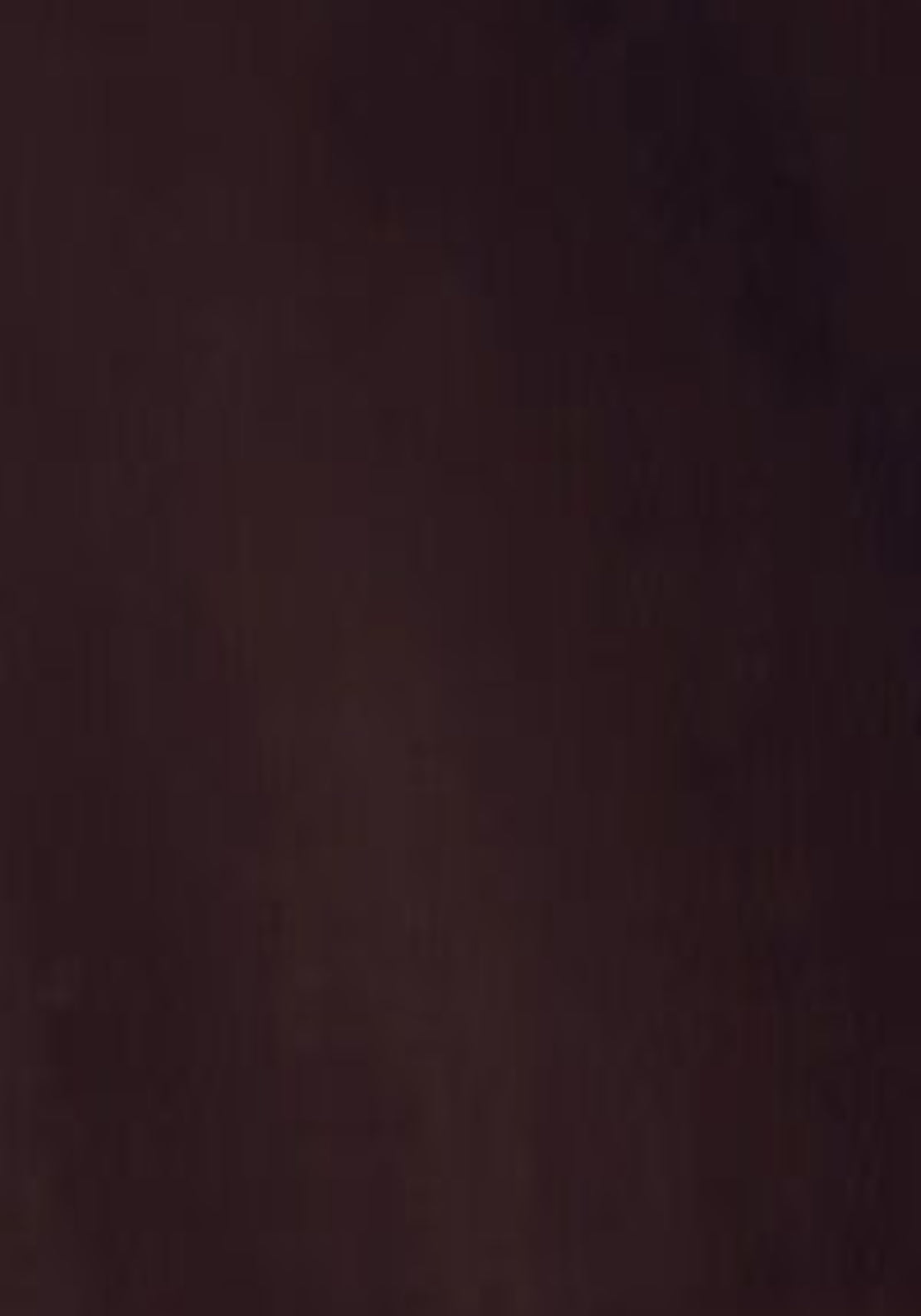Tencel Trousers With Belt - Dark Brown
