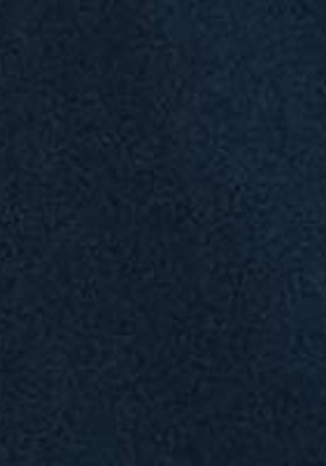 Basic Top With Mandarin Collar - Blue