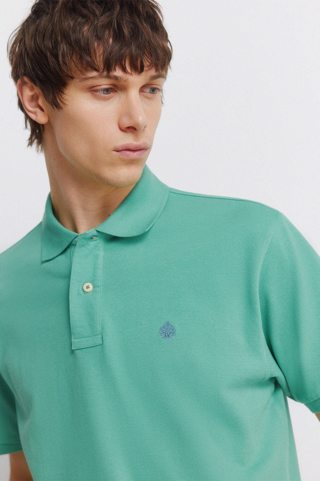 Basic Regular Fit Polo Shirt - Green