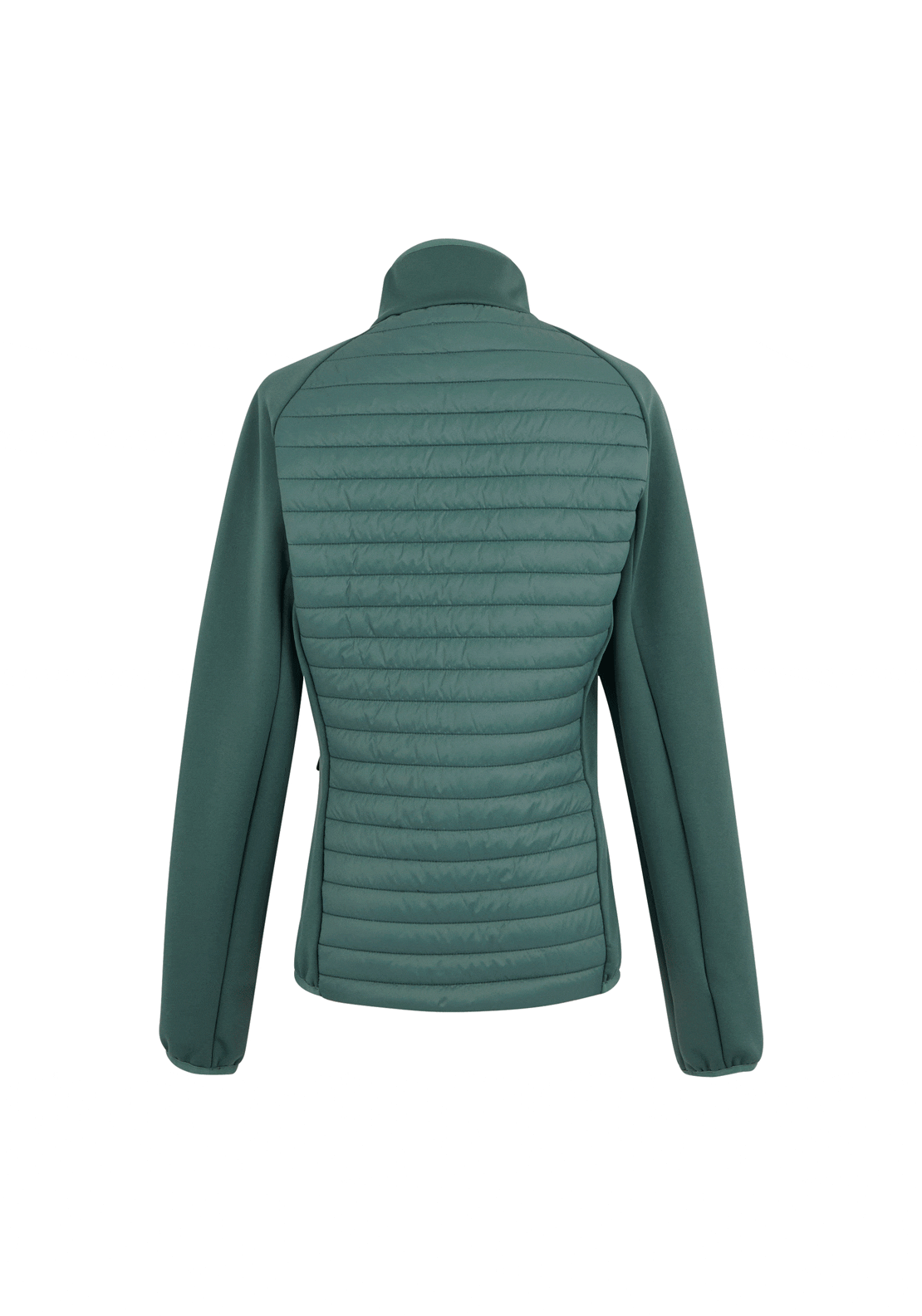 Regatta Clumber Hybrid Jacket - Spruce Green 6 Shaws Department Stores