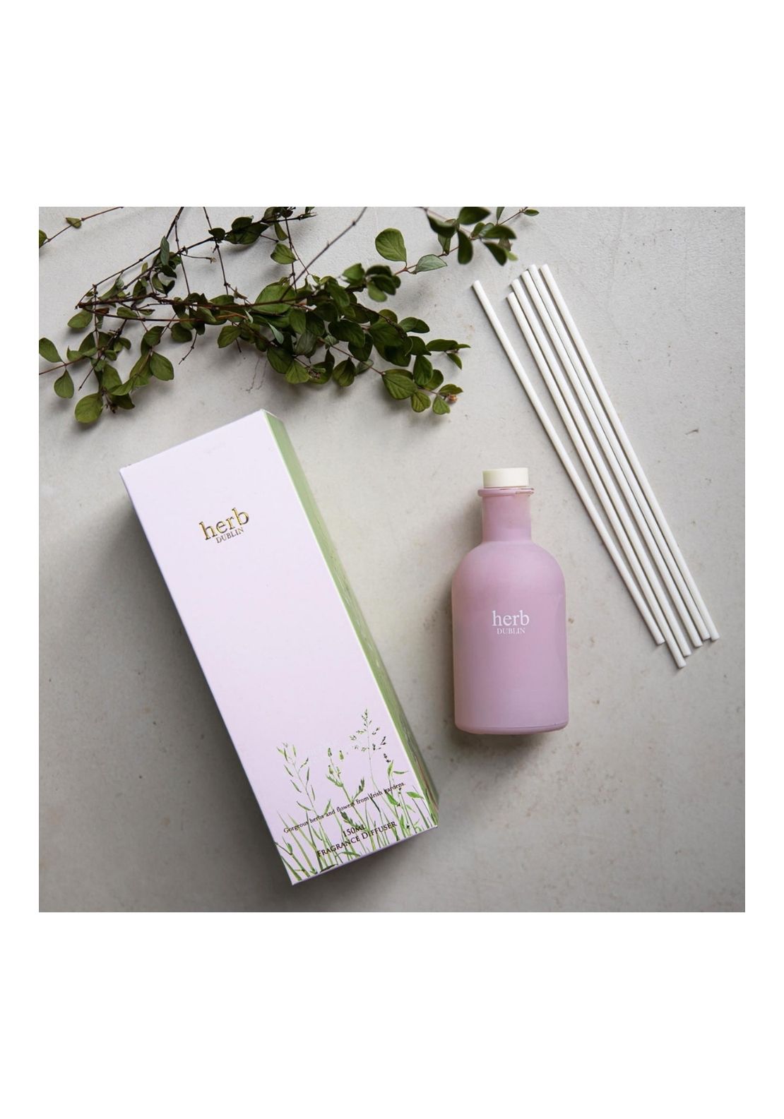 Herb Dublin Rhubarb Fresh Garden Mint Diffuser - Pink 1 Shaws Department Stores