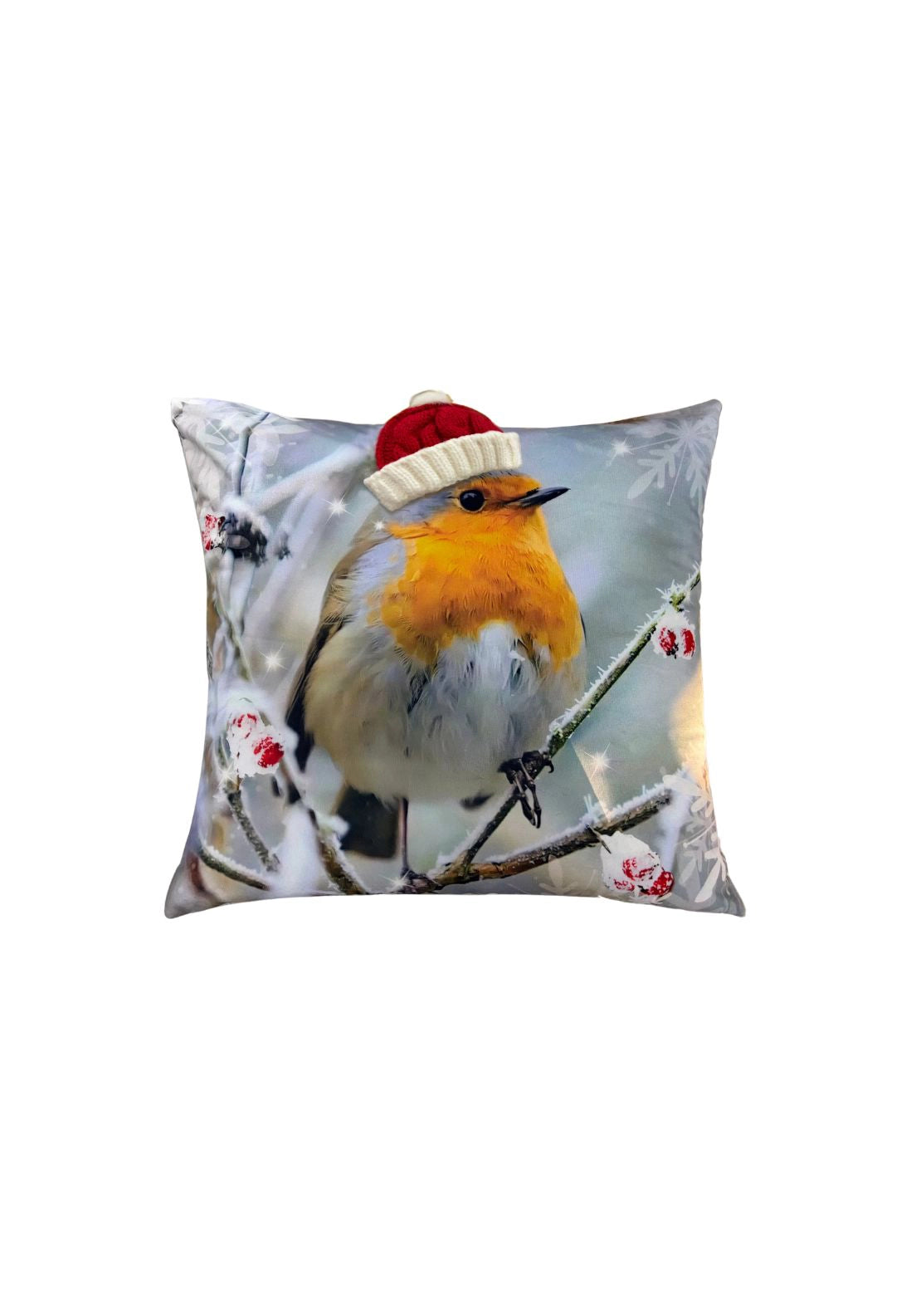 Robin With Hat Cushion - Multi