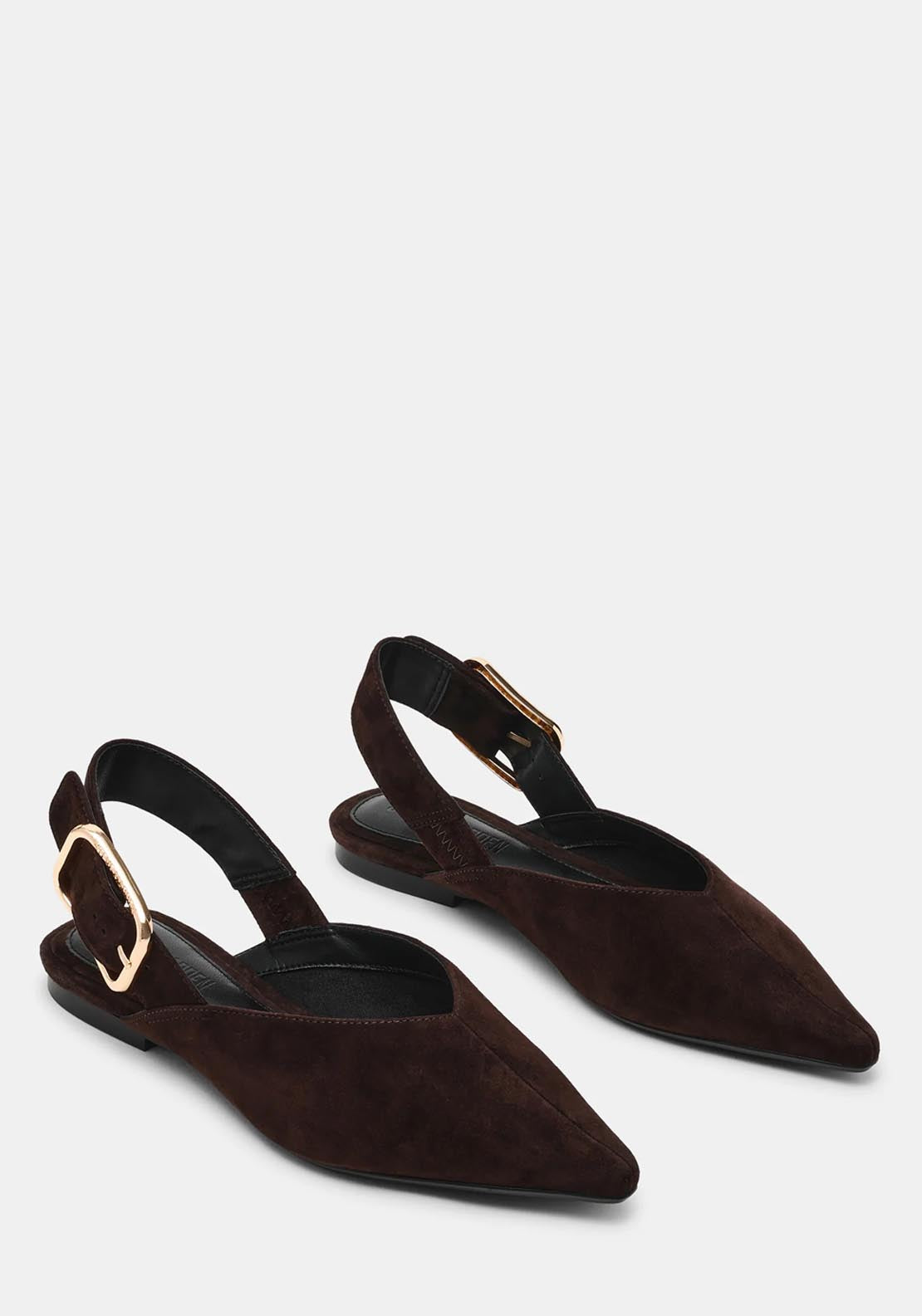 Steve Madden Flat Side Buckle Slip On Shoe - Brown 2 Shaws Department Stores