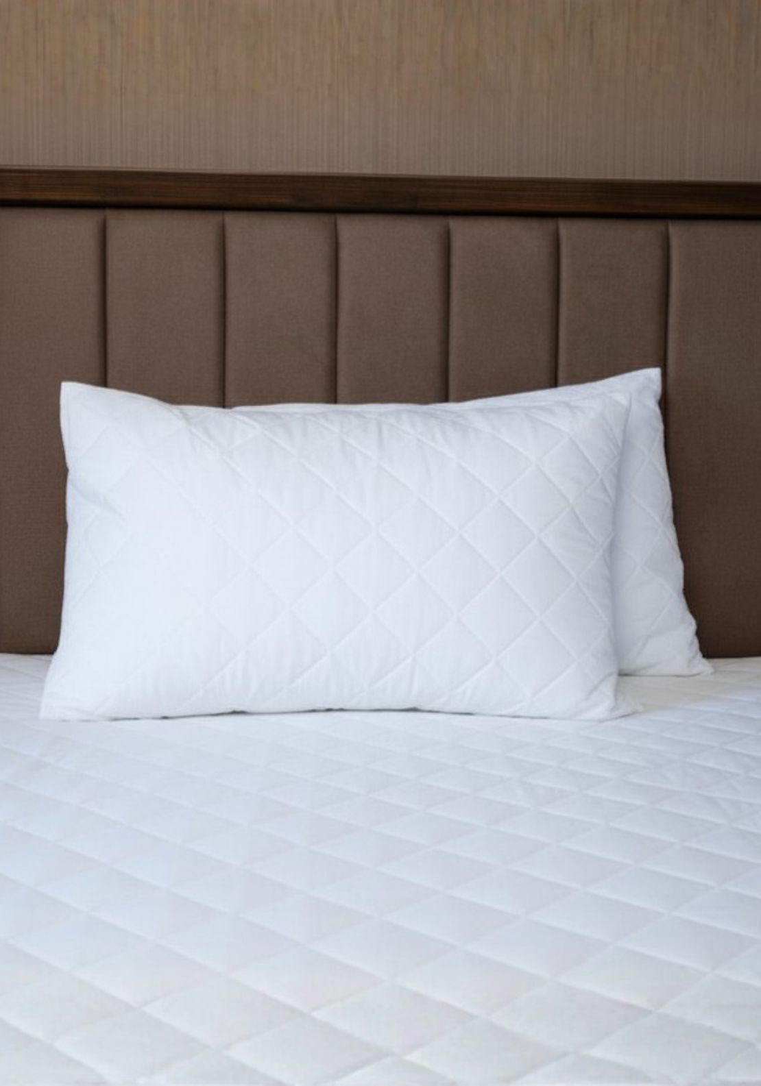 The Home Collection Anti Allergy Pillow Protector 1 Shaws Department Stores