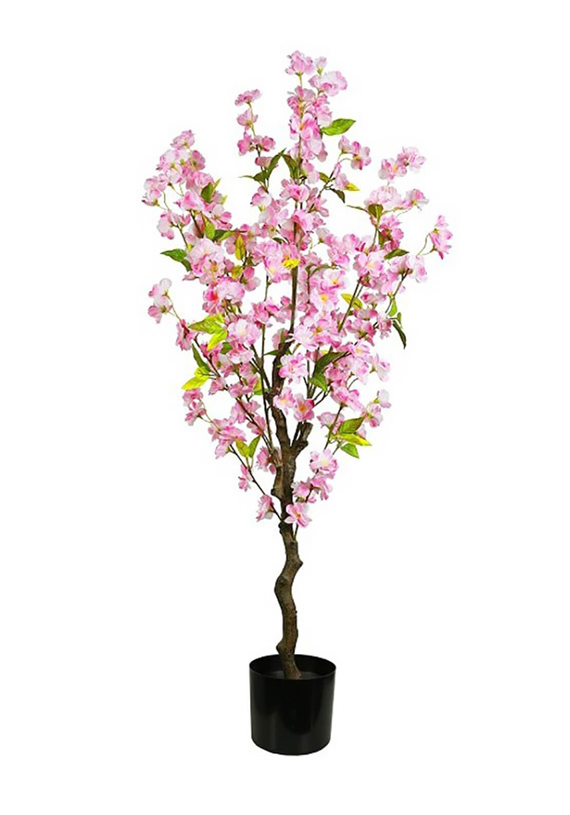 The Home Collection Artificial Cherry Tree Pink 2 Shaws Department Stores